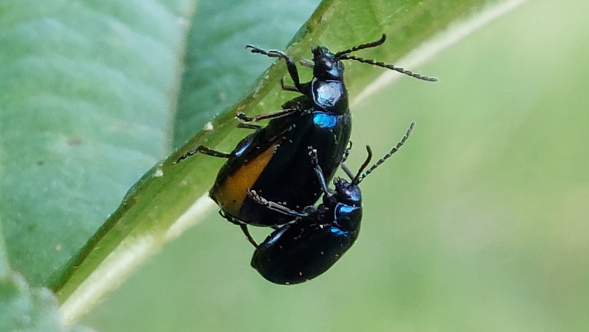 Valokuvaaja: Tarja Naukkarinen