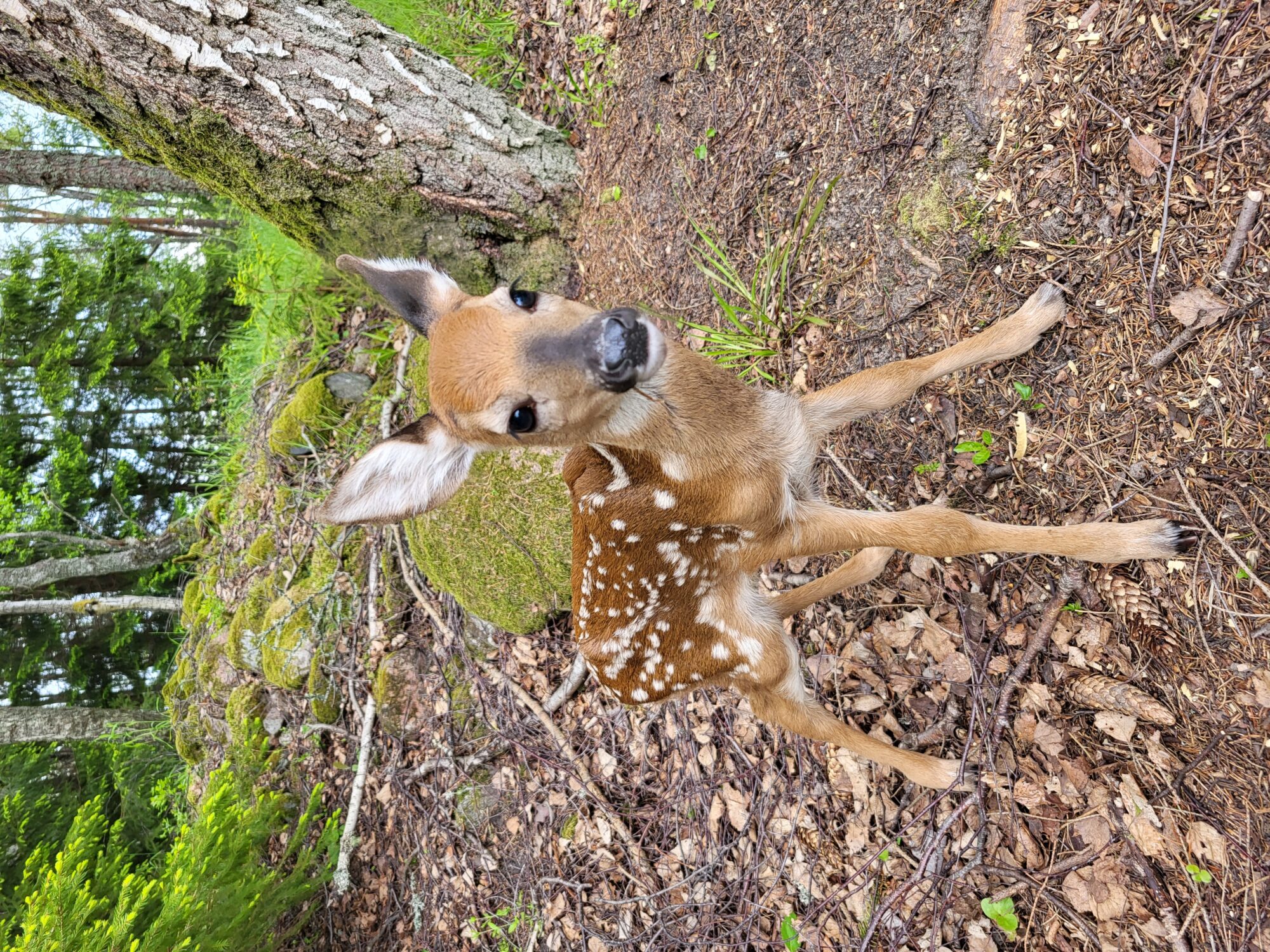 Valokuvaaja: Kirsi Tuomola