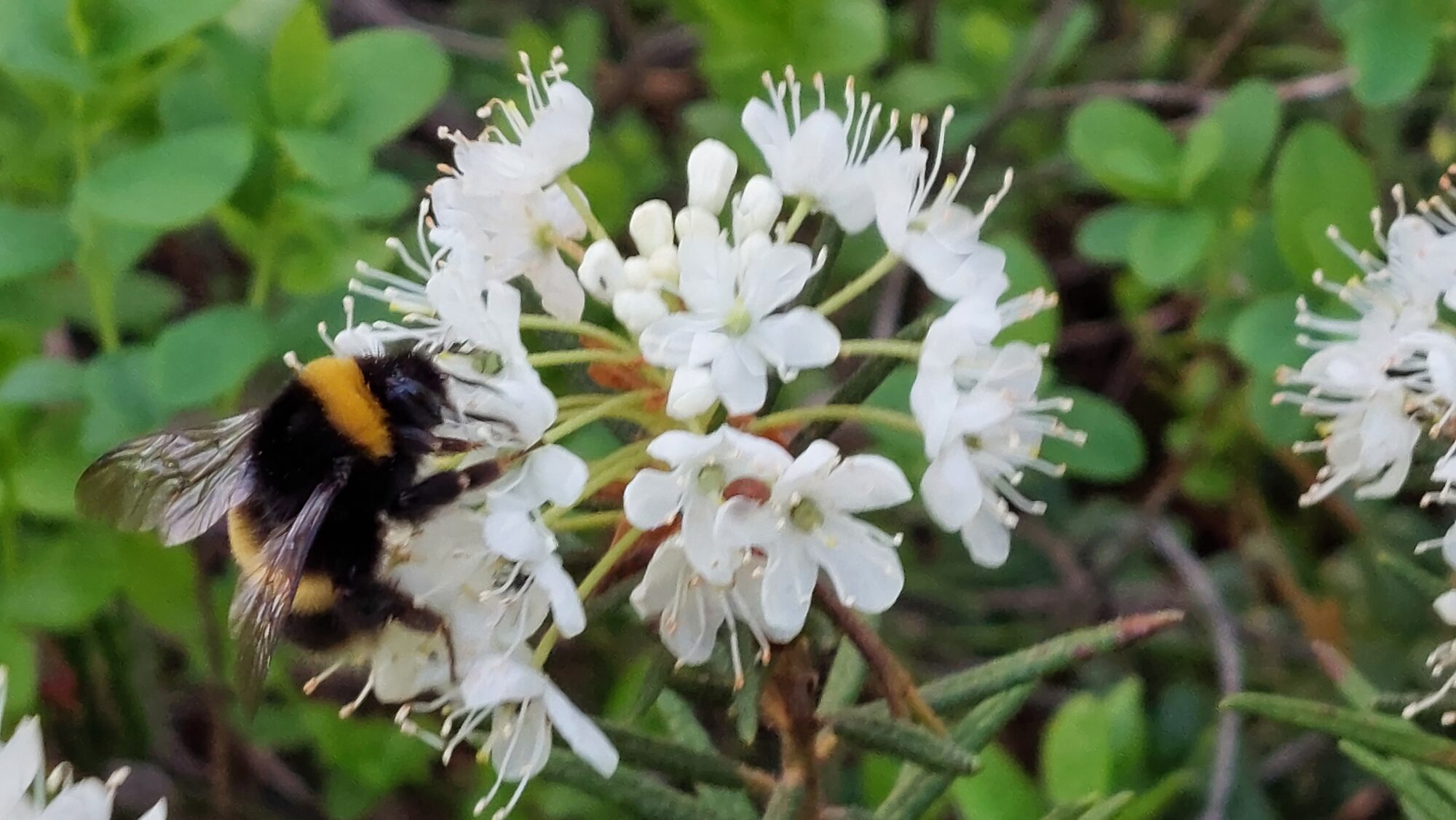 Valokuvaaja: Tarja Naukkarinen