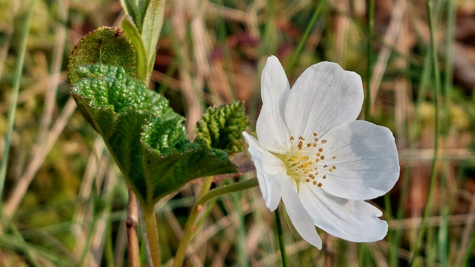 Valokuvaaja: Tarja Naukkarinen