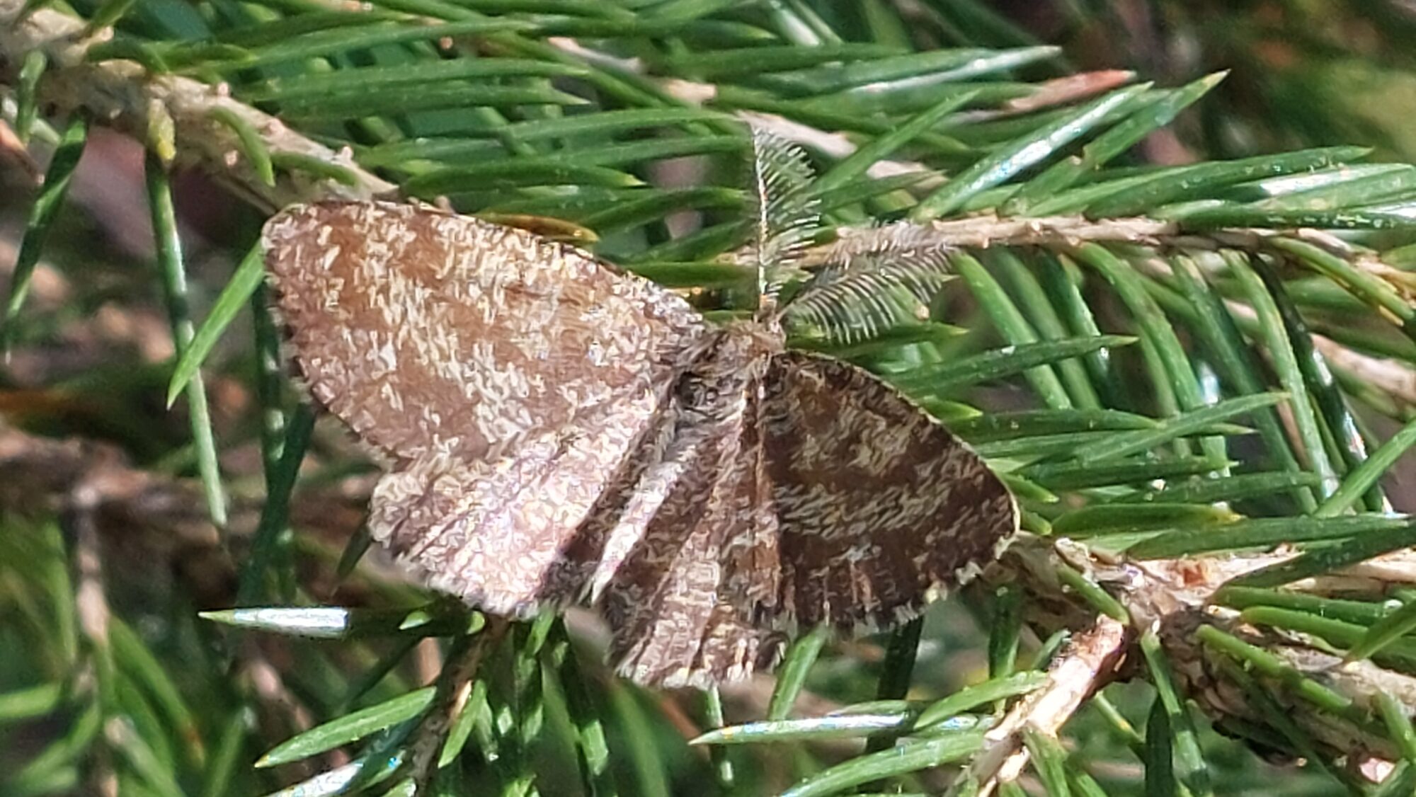 Valokuvaaja: Tarja Naukkarinen