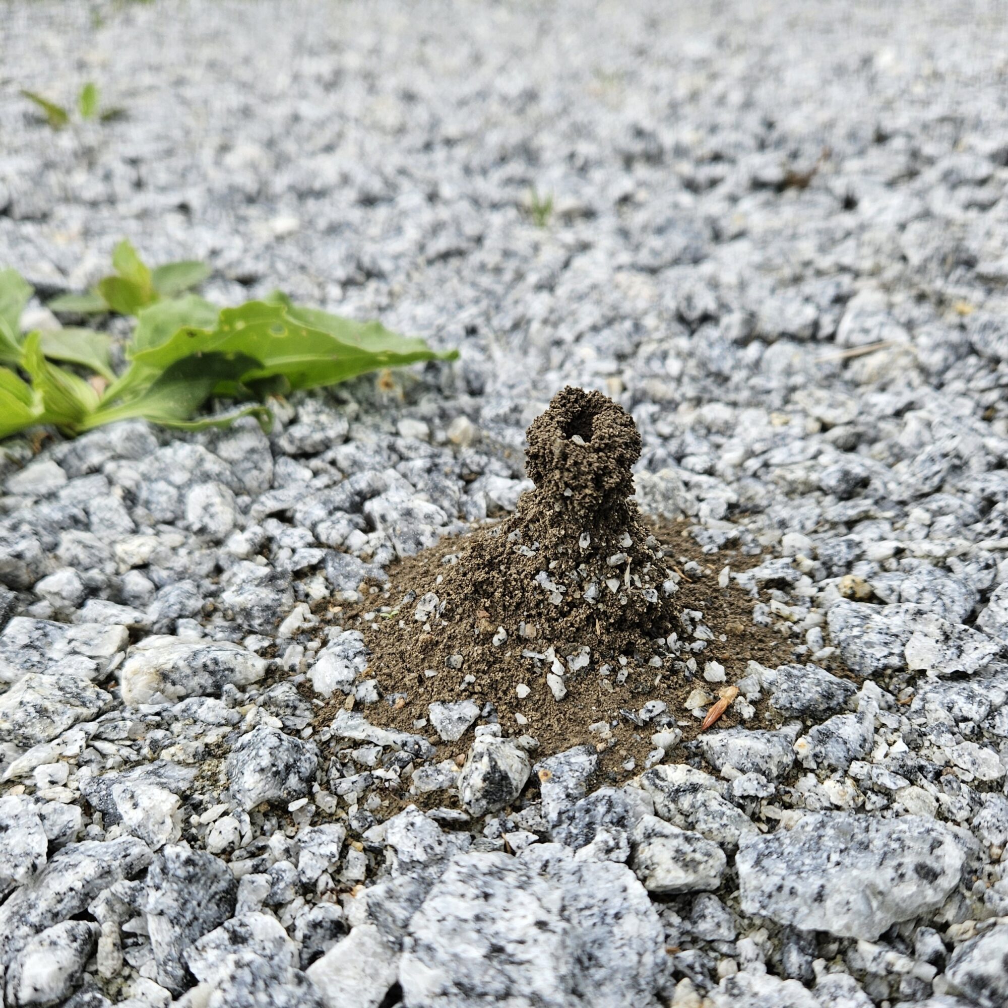 Valokuvaaja: Inkeri Nuora