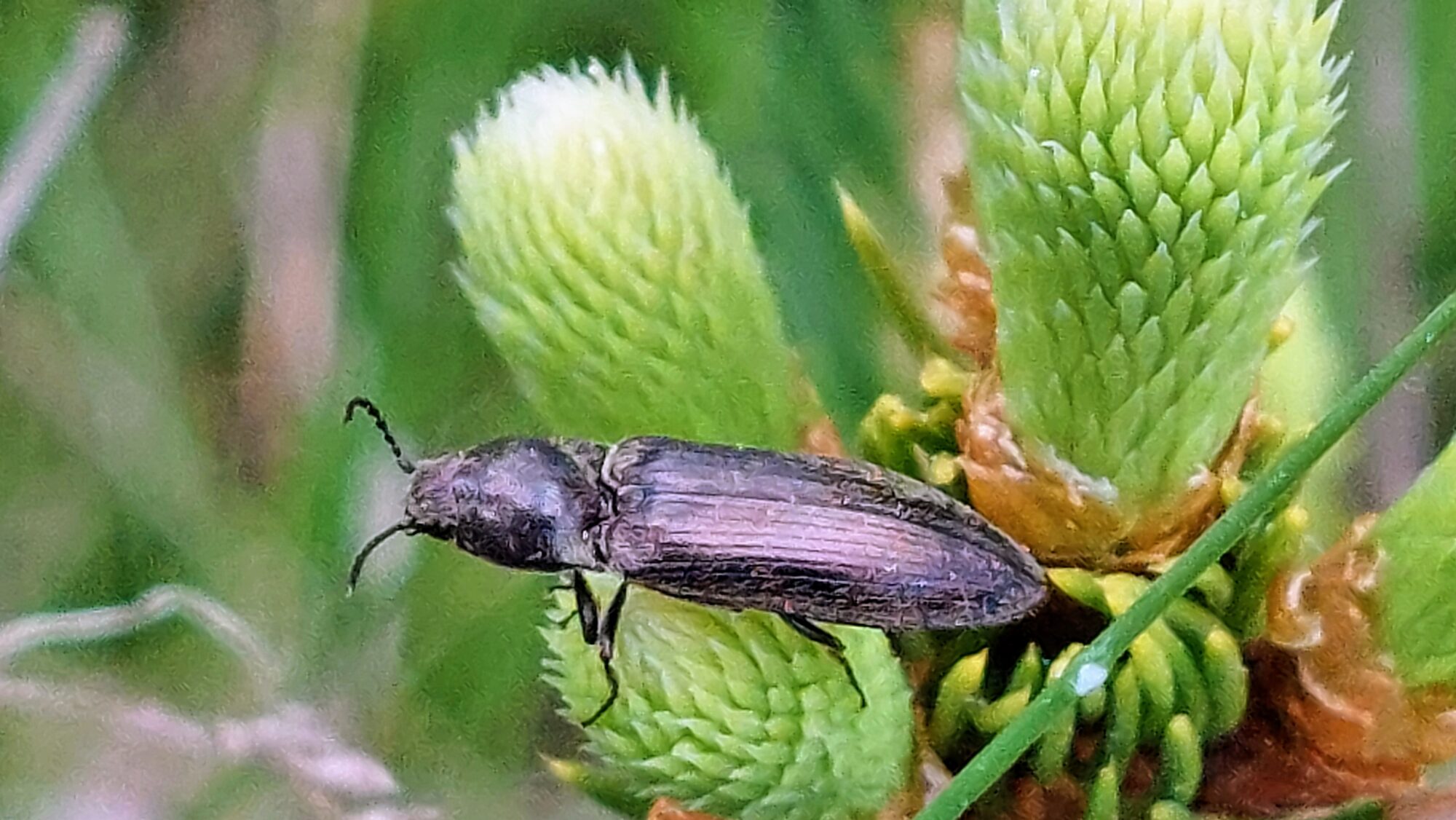 Valokuvaaja: Tarja Naukkarinen