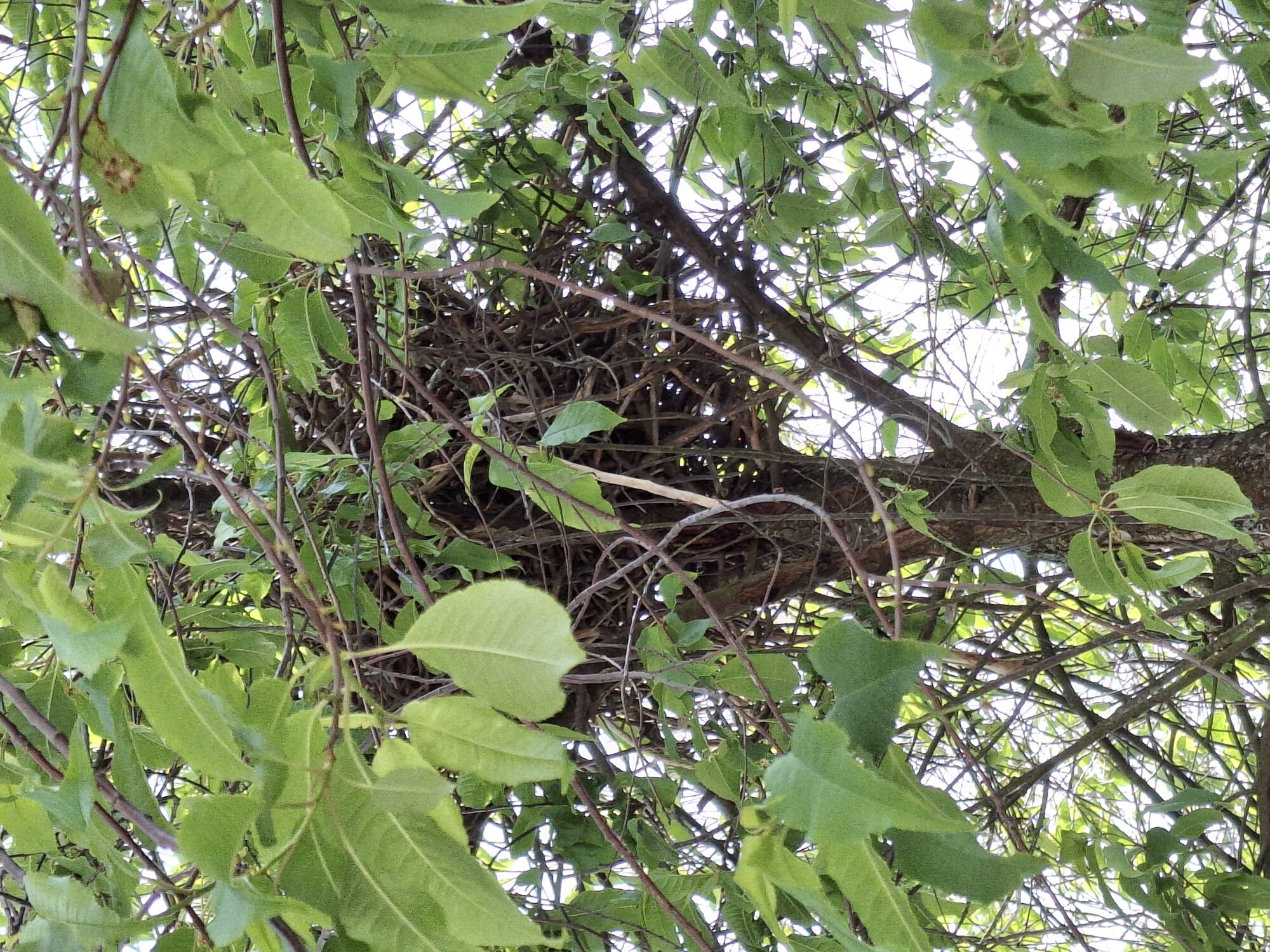 Valokuvaaja: Satu Suuntala