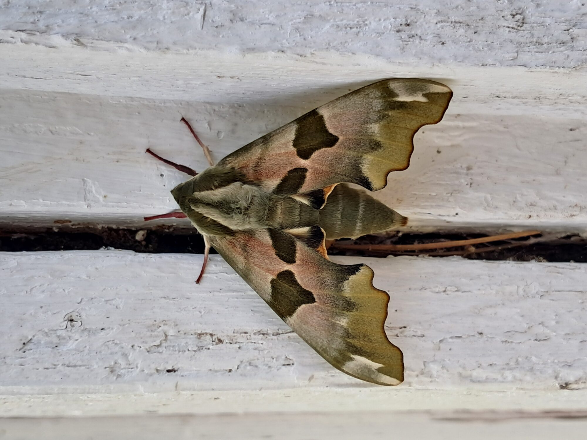 Valokuvaaja: Marketta Uotila Valokuvaaja: Marketta Uotila