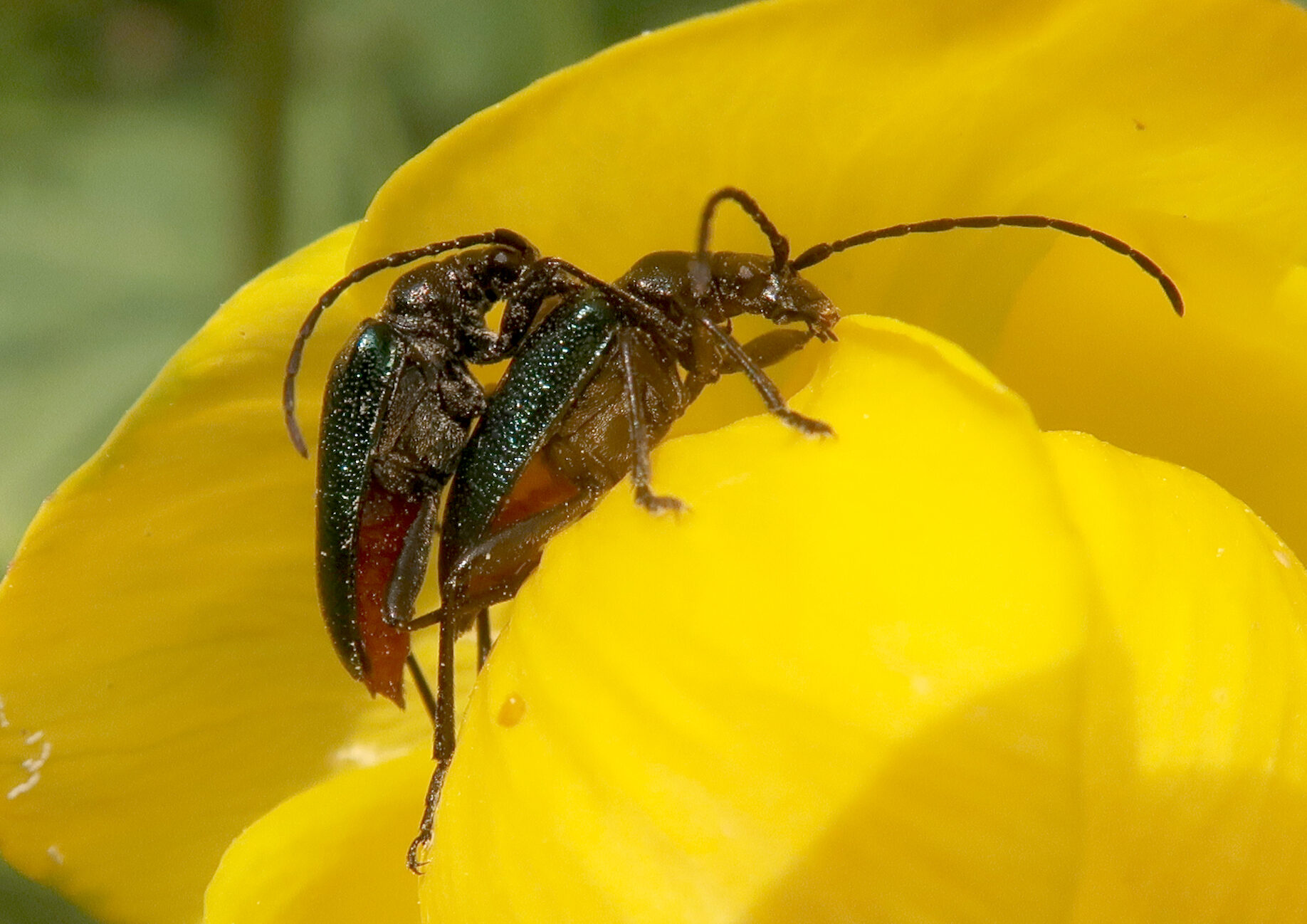 Valokuvaaja: Anssi Mäkinen