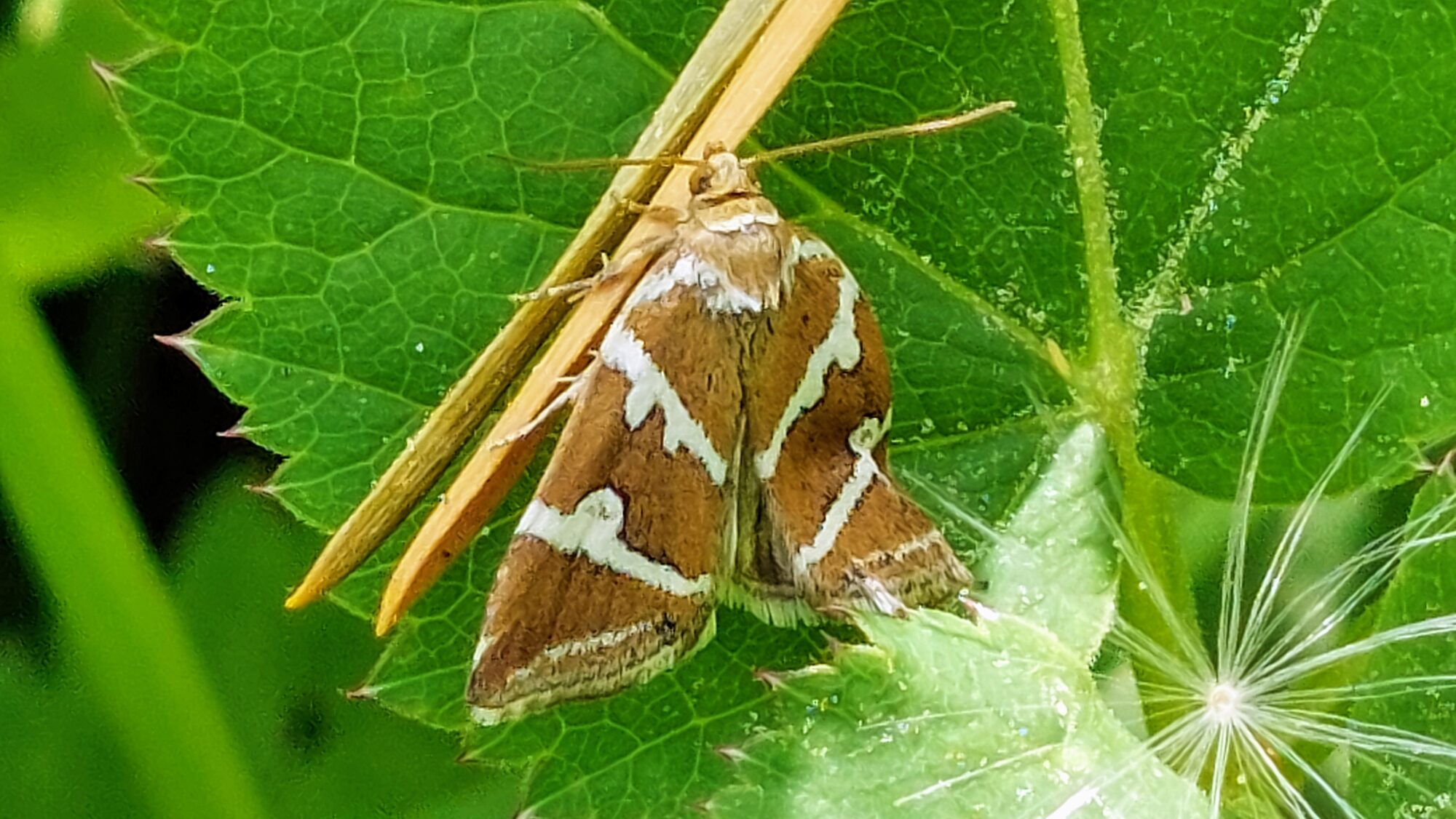 Valokuvaaja: Tarja Naukkarinen Valokuvaaja: Tarja Naukkarinen