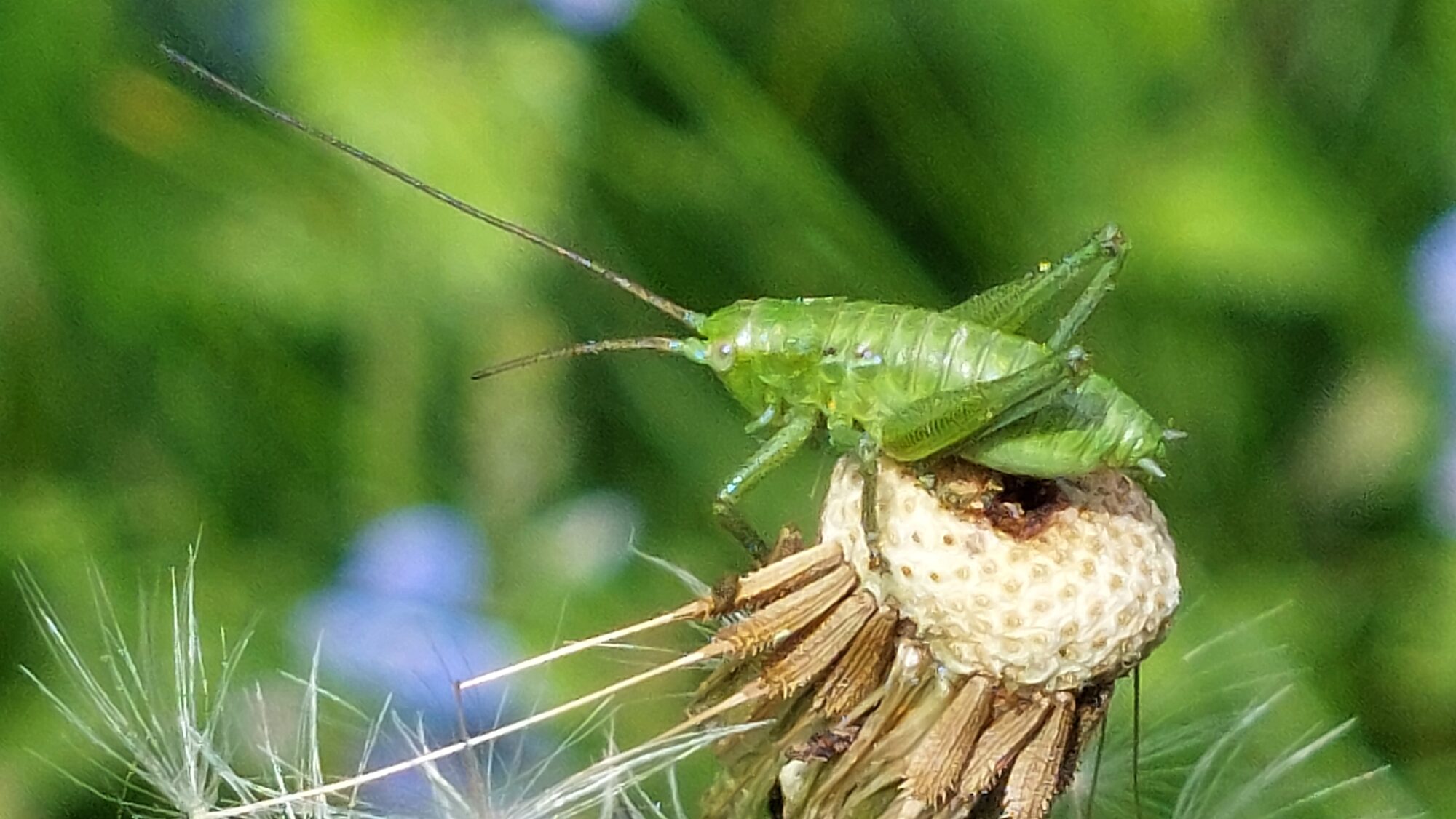 Valokuvaaja: Tarja Naukkarinen Valokuvaaja: Tarja Naukkarinen