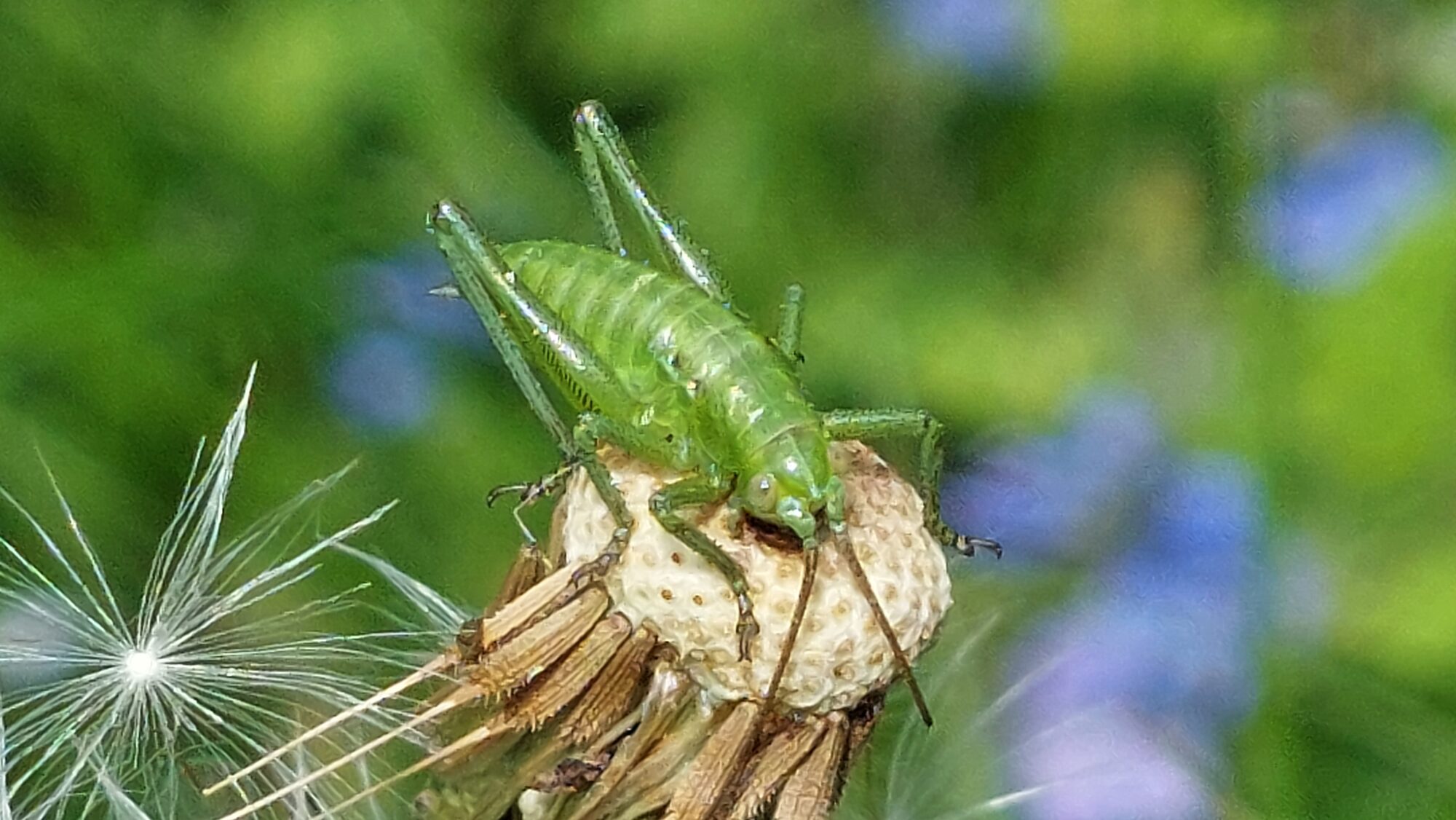 Valokuvaaja: Tarja Naukkarinen Valokuvaaja: Tarja Naukkarinen