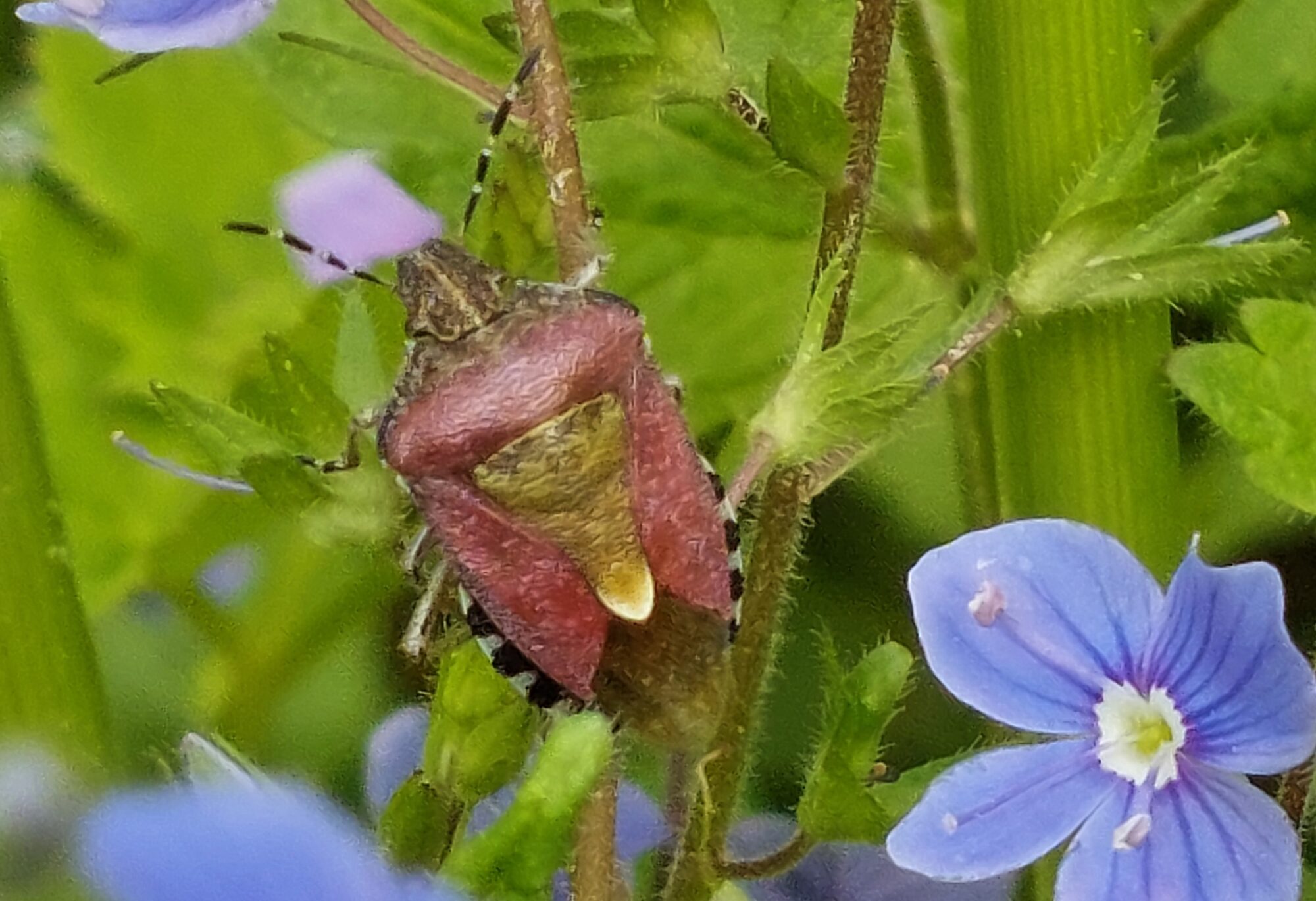 Valokuvaaja: Tarja Naukkarinen Valokuvaaja: Tarja Naukkarinen