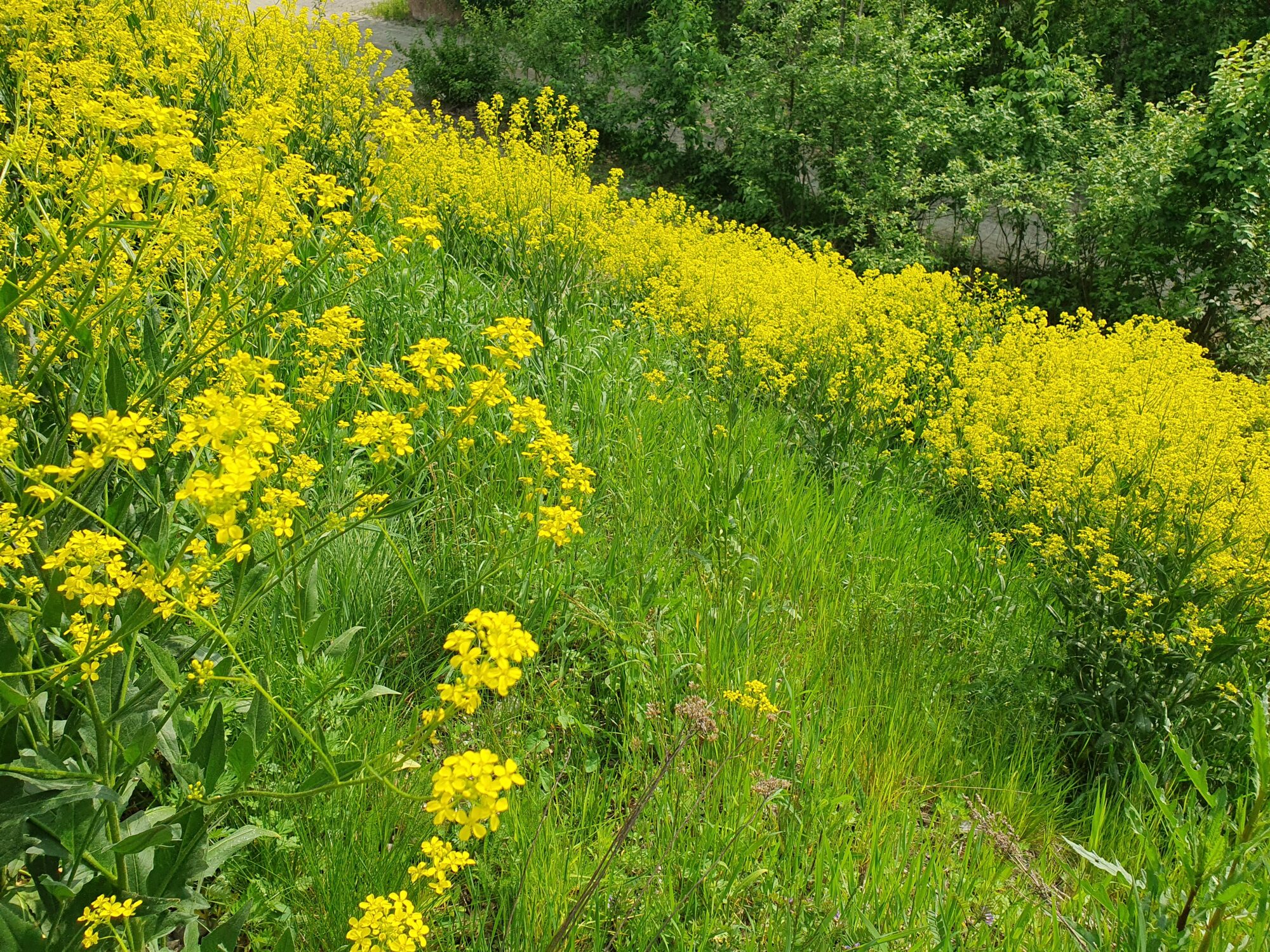 Valokuvaaja: Pirkko Tuulihovi Valokuvaaja: Pirkko Tuulihovi