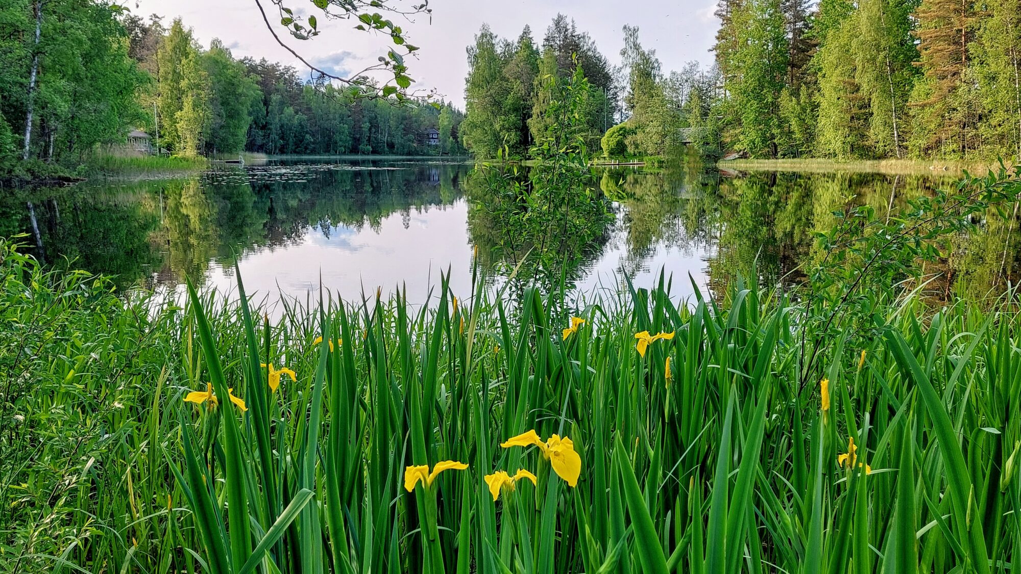 Valokuvaaja: Tarja Naukkarinen