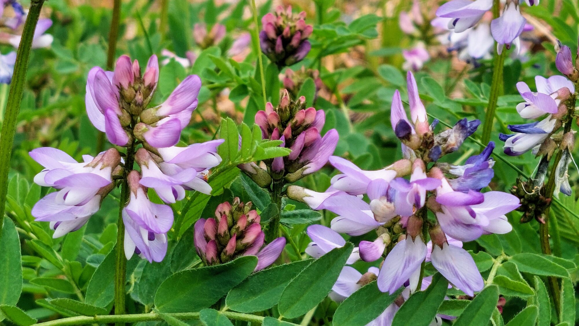 Valokuvaaja: Tarja Naukkarinen Valokuvaaja: Tarja Naukkarinen