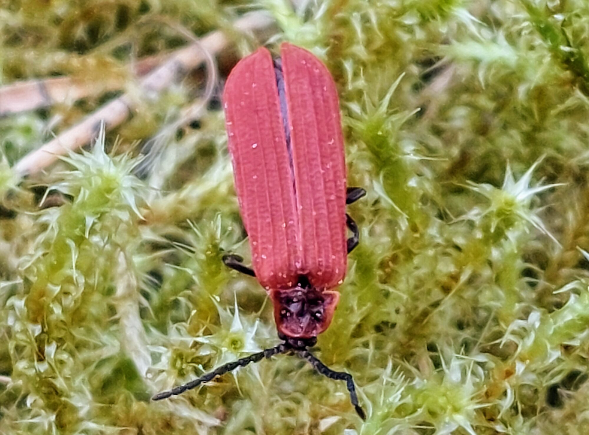 Valokuvaaja: Tarja Naukkarinen Valokuvaaja: Tarja Naukkarinen