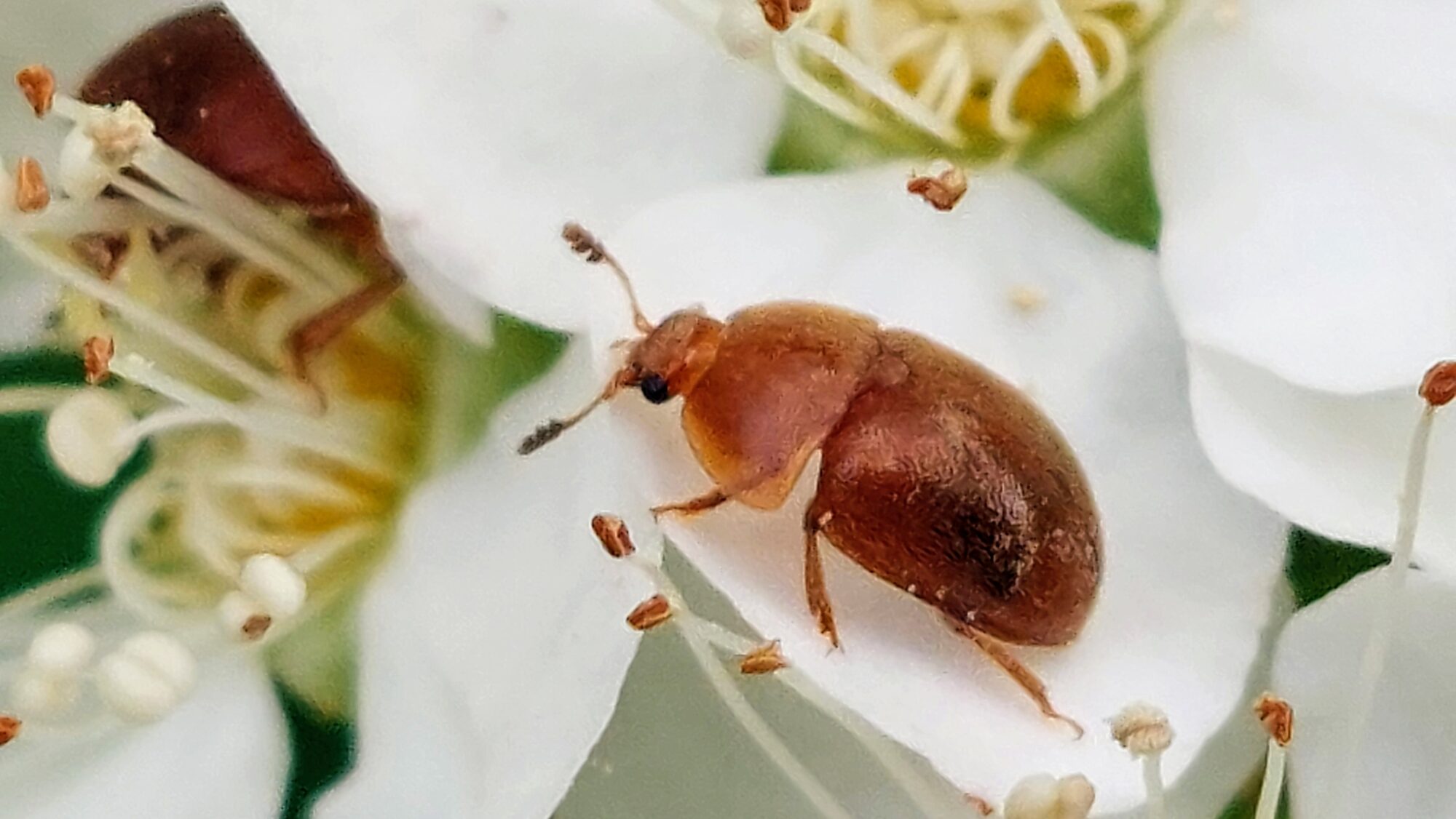 Valokuvaaja: Tarja Naukkarinen