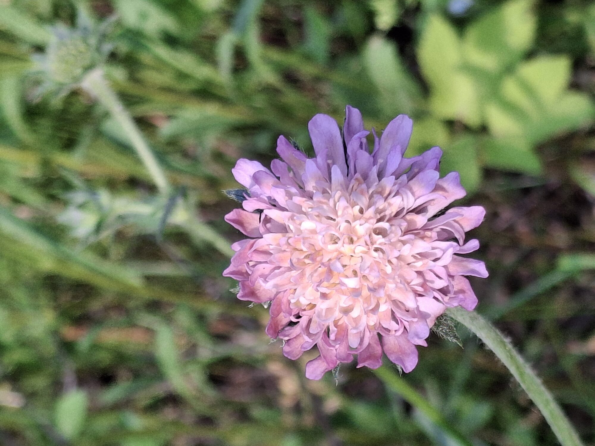 Valokuvaaja: Satu Suuntala