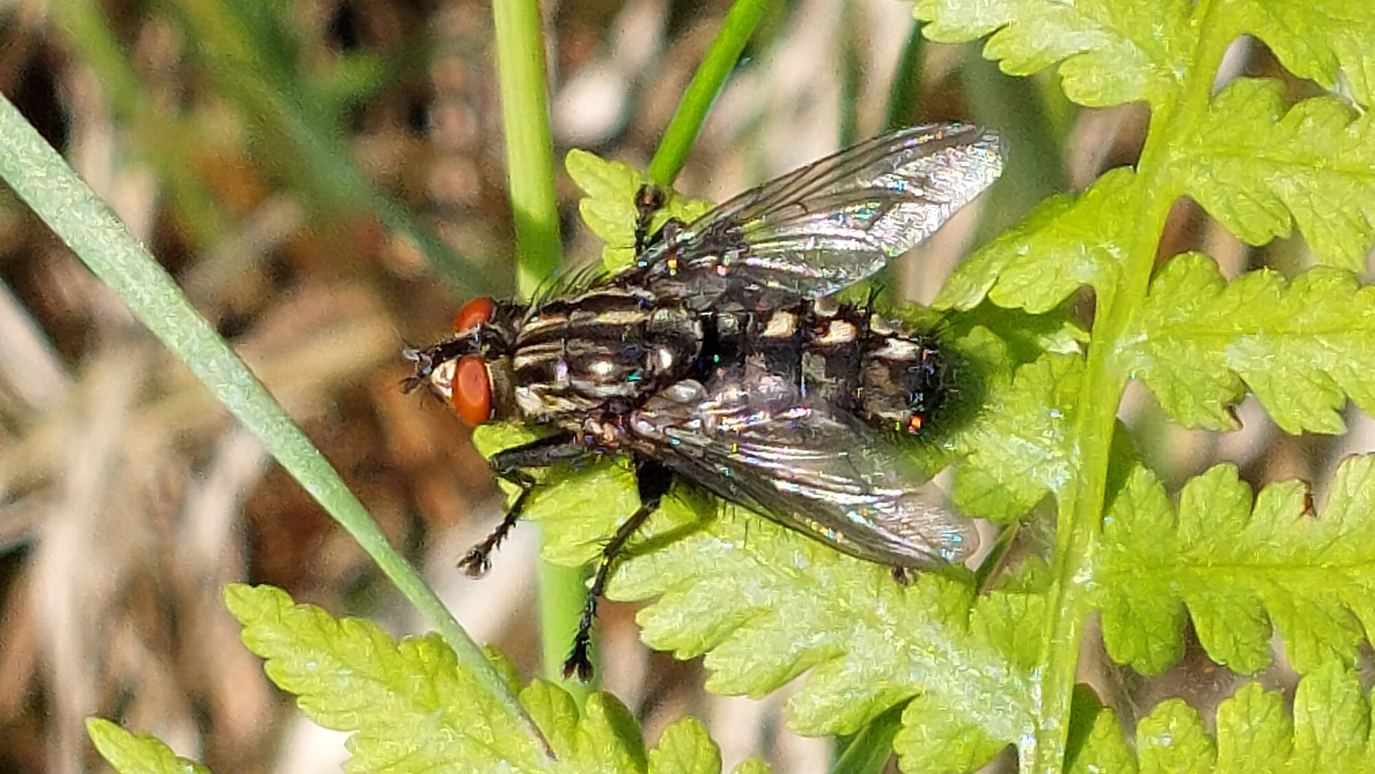 Valokuvaaja: Tarja Naukkarinen