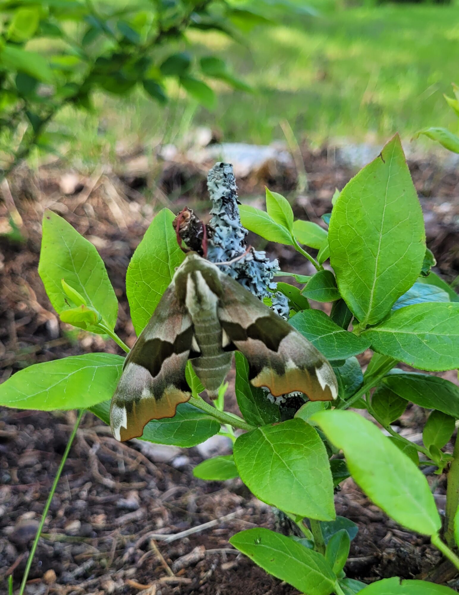 Valokuvaaja: Ari Ahonen