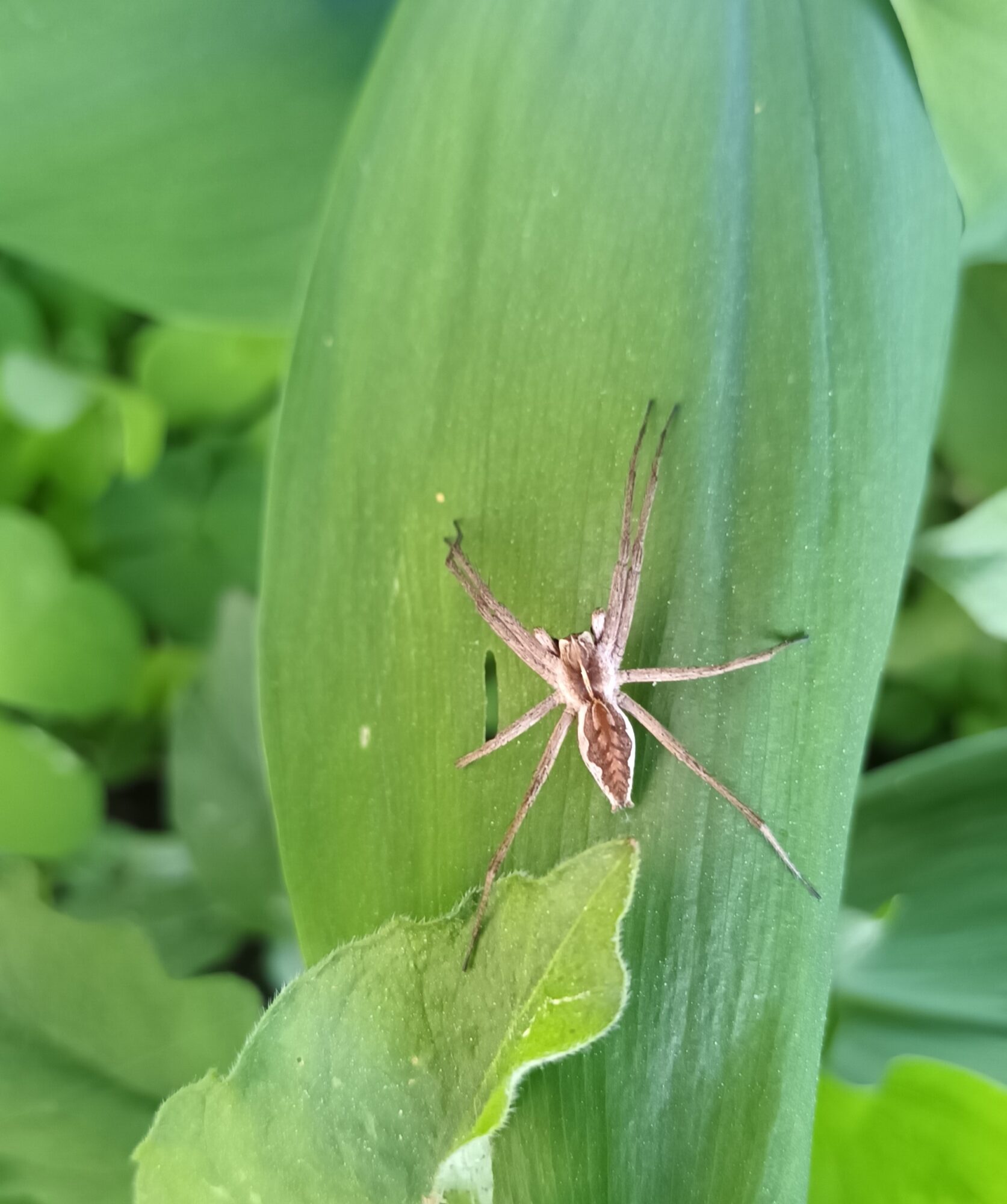 Valokuvaaja: Aira Karvonen