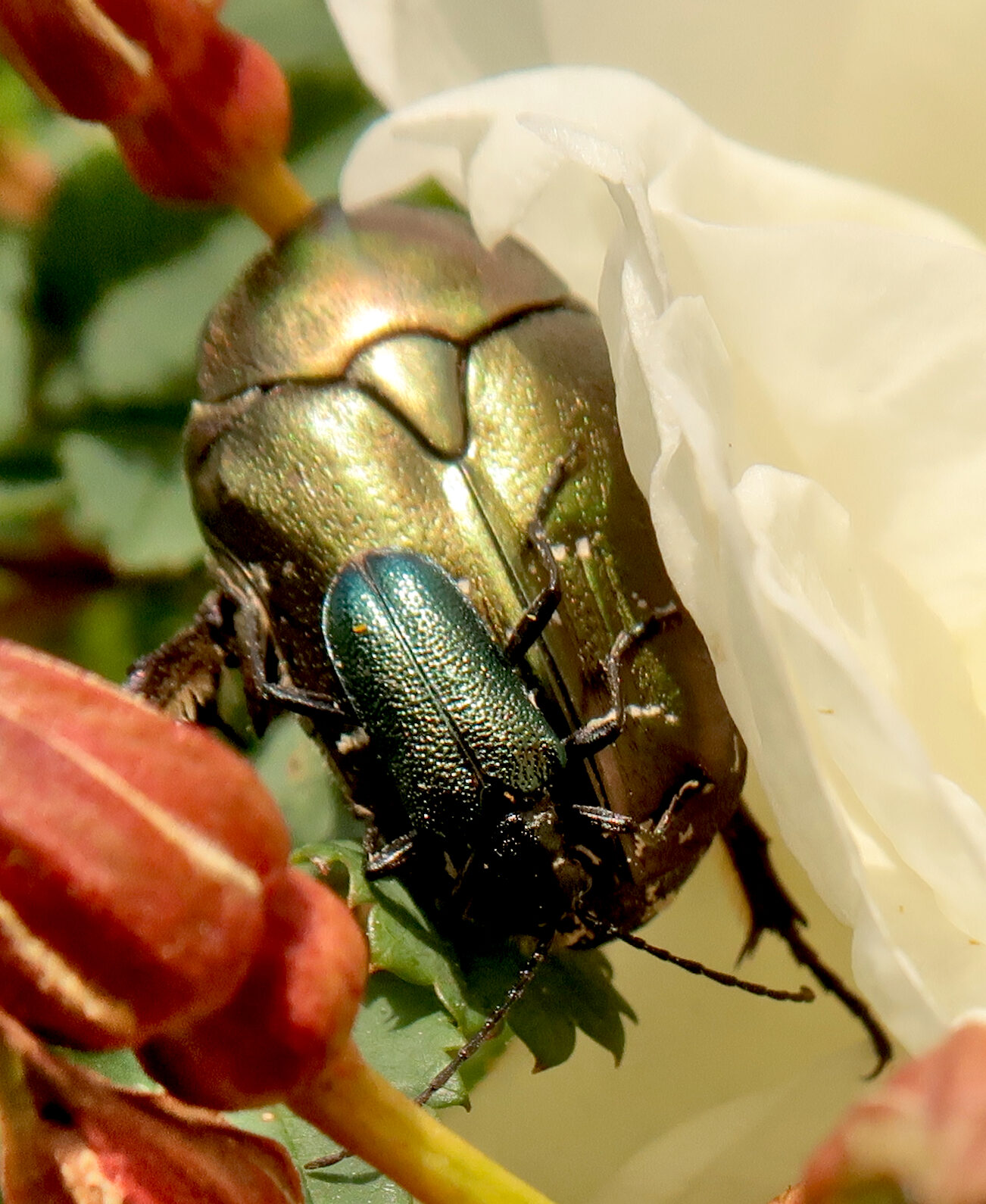 Valokuvaaja: Anssi Mäkinen