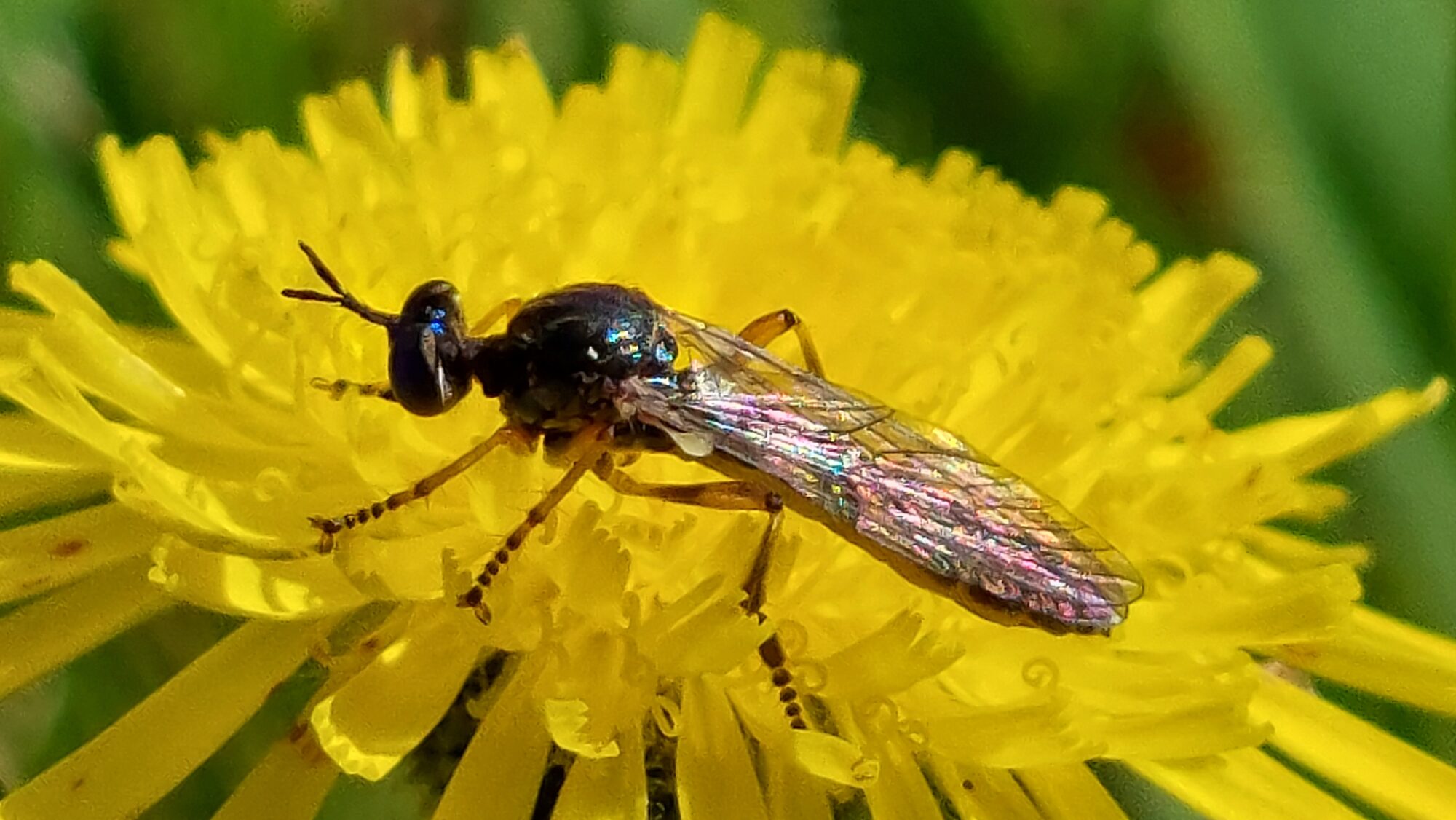 Valokuvaaja: Tarja Naukkarinen