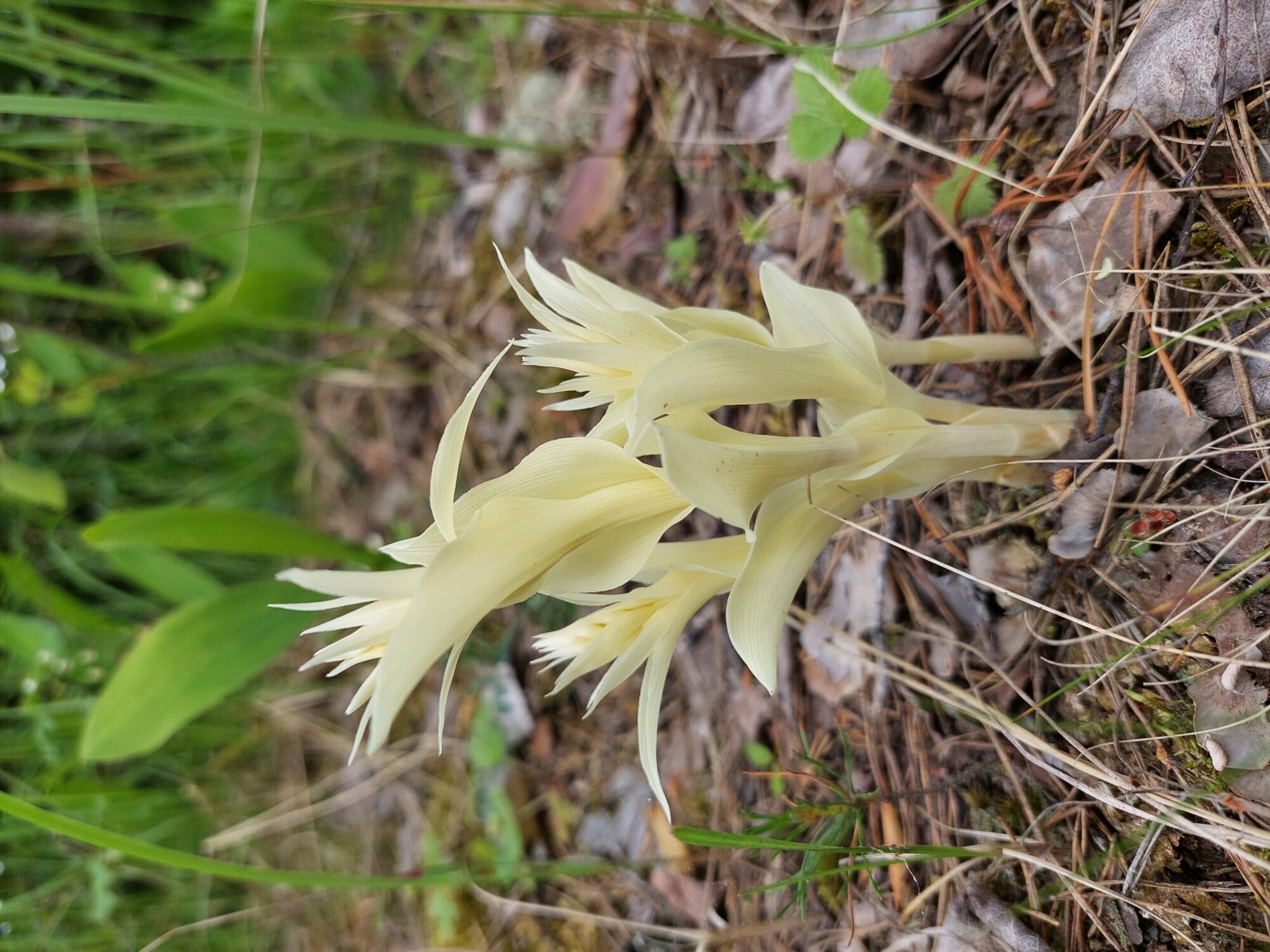 Valokuvaaja: Erja Kaarnaharju