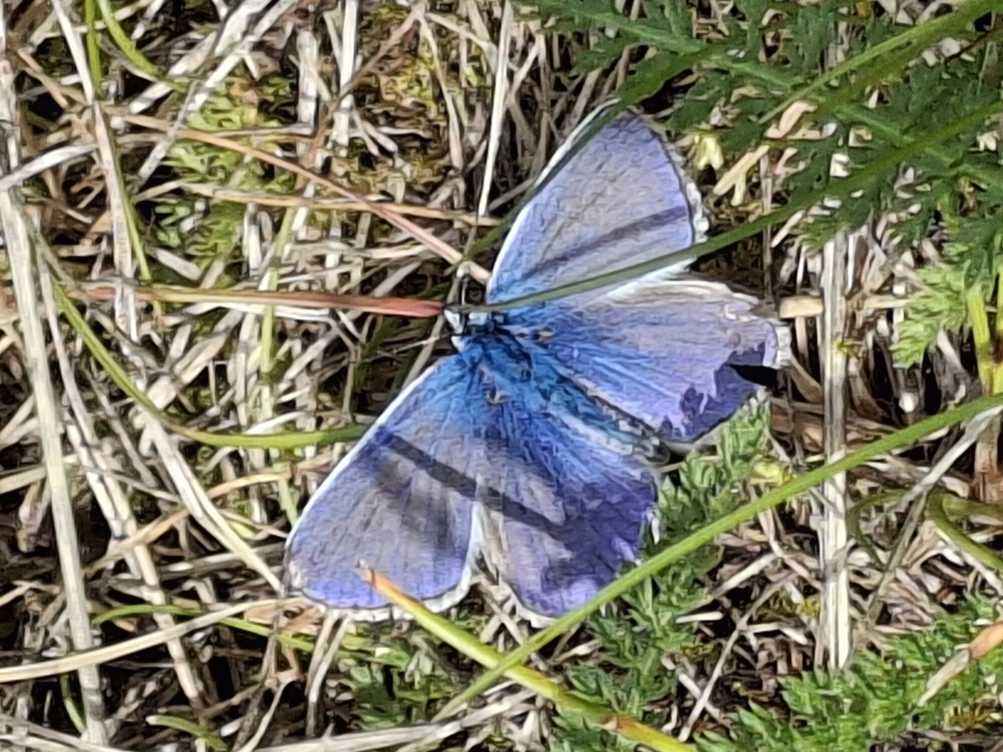 Valokuvaaja: Satu Suuntala