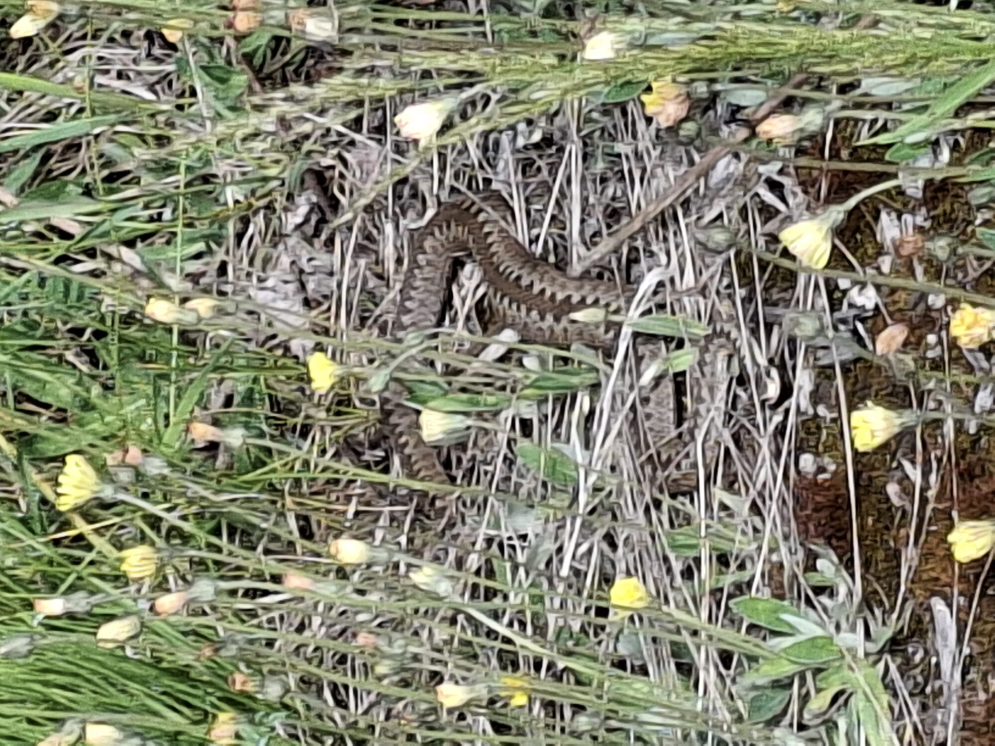 Valokuvaaja: Satu Suuntala