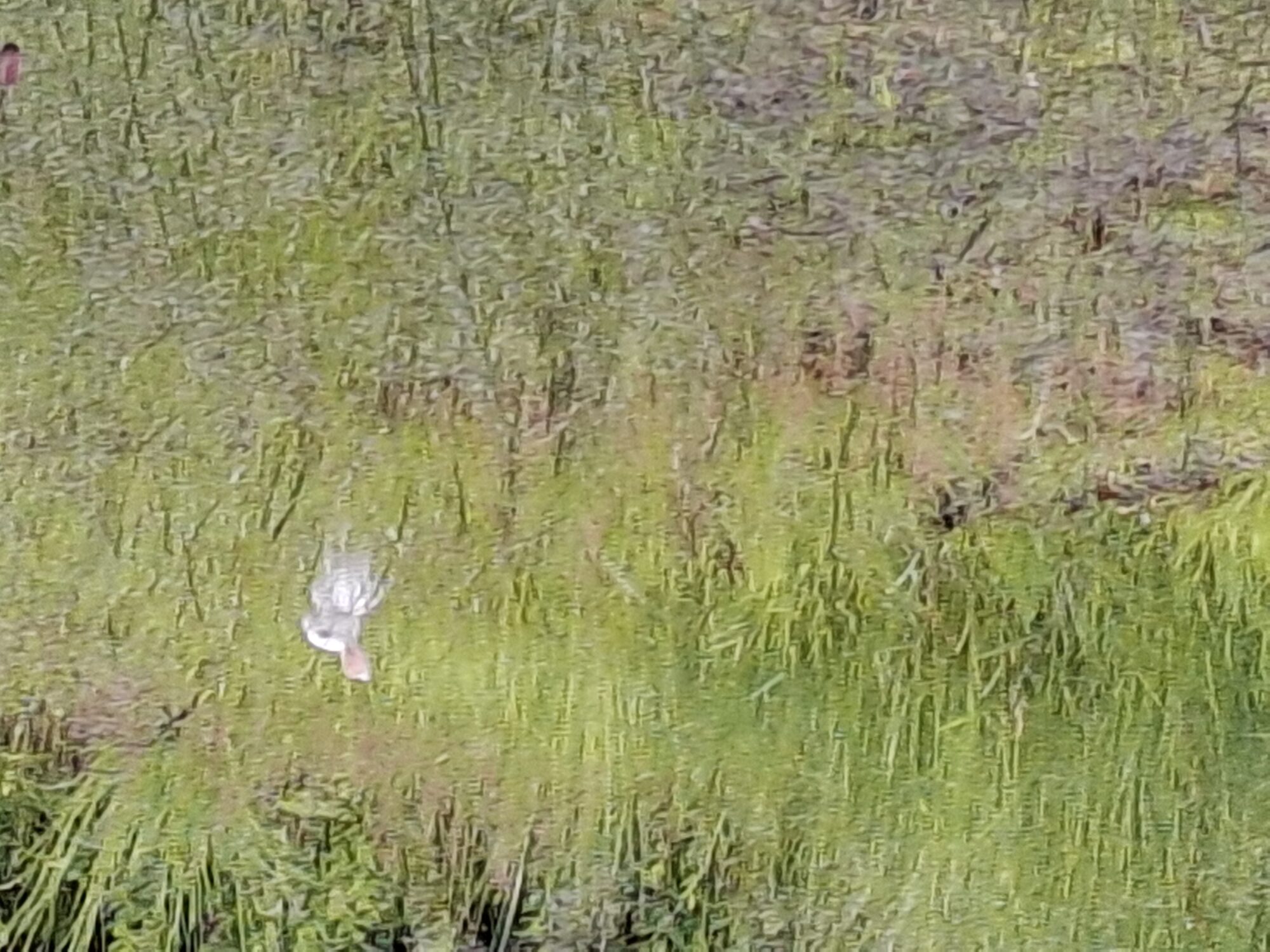 Valokuvaaja: Satu Suuntala