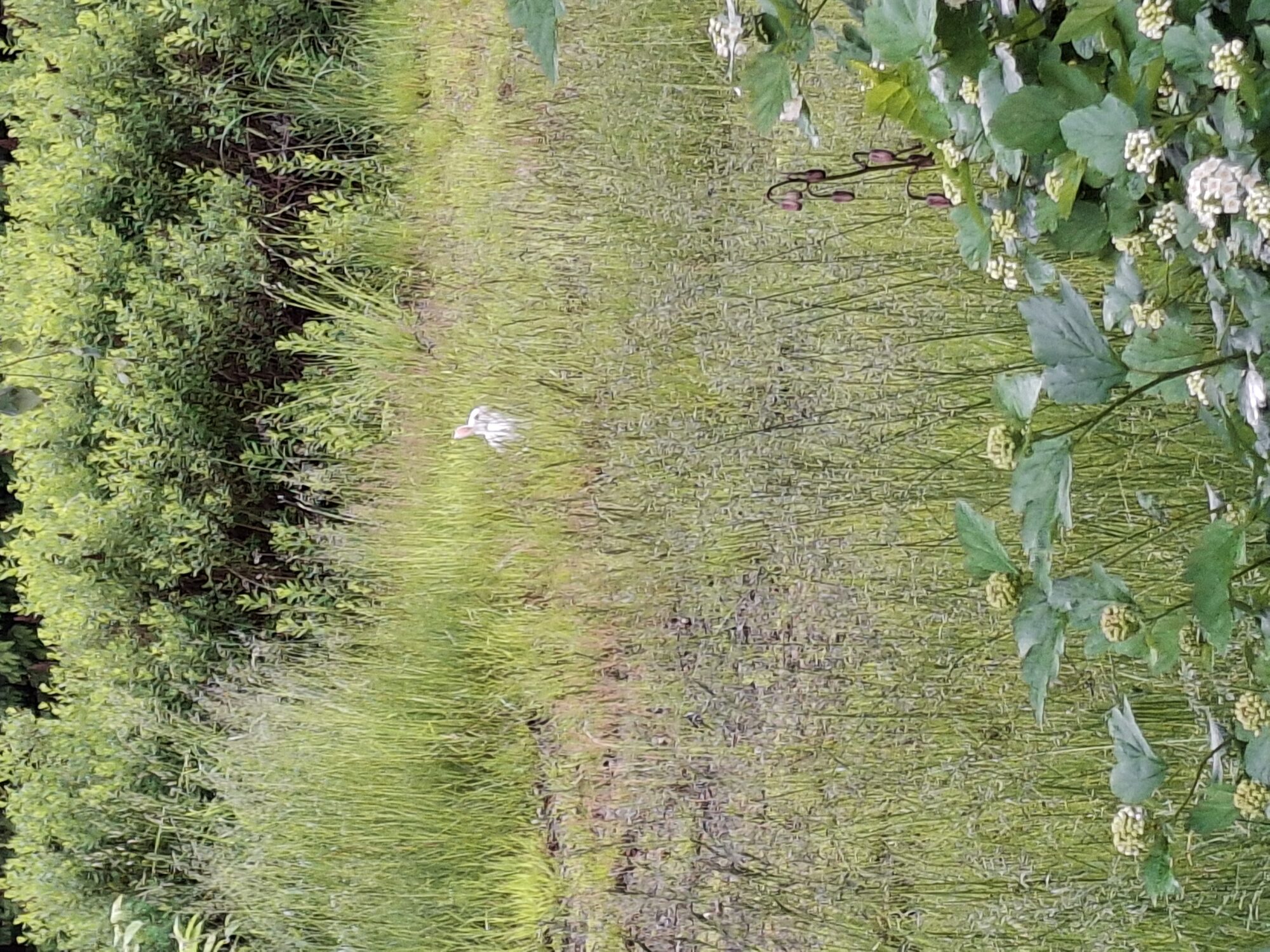 Valokuvaaja: Satu Suuntala