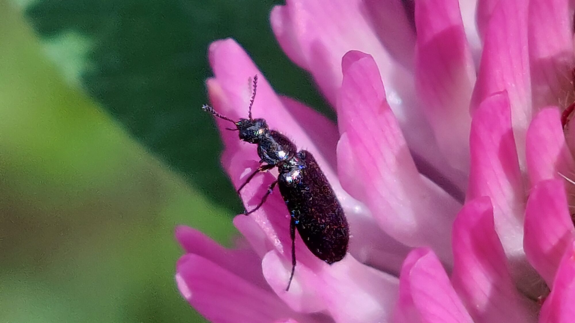 Valokuvaaja: Tarja Naukkarinen