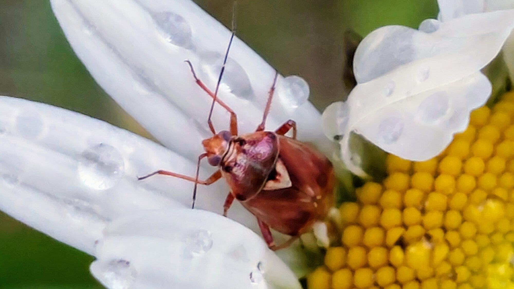 Valokuvaaja: Tarja Naukkarinen