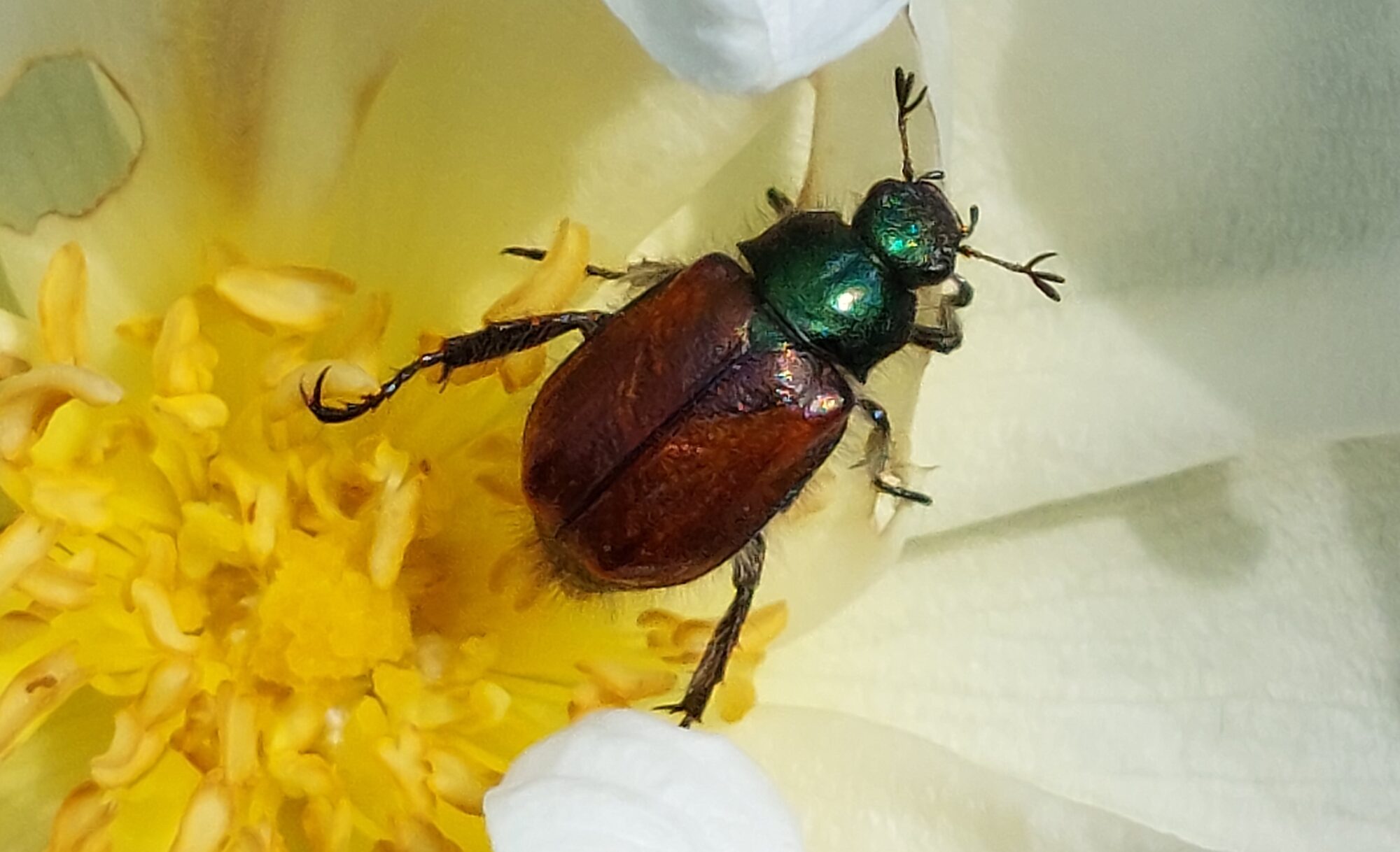 Valokuvaaja: Tarja Naukkarinen Valokuvaaja: Tarja Naukkarinen
