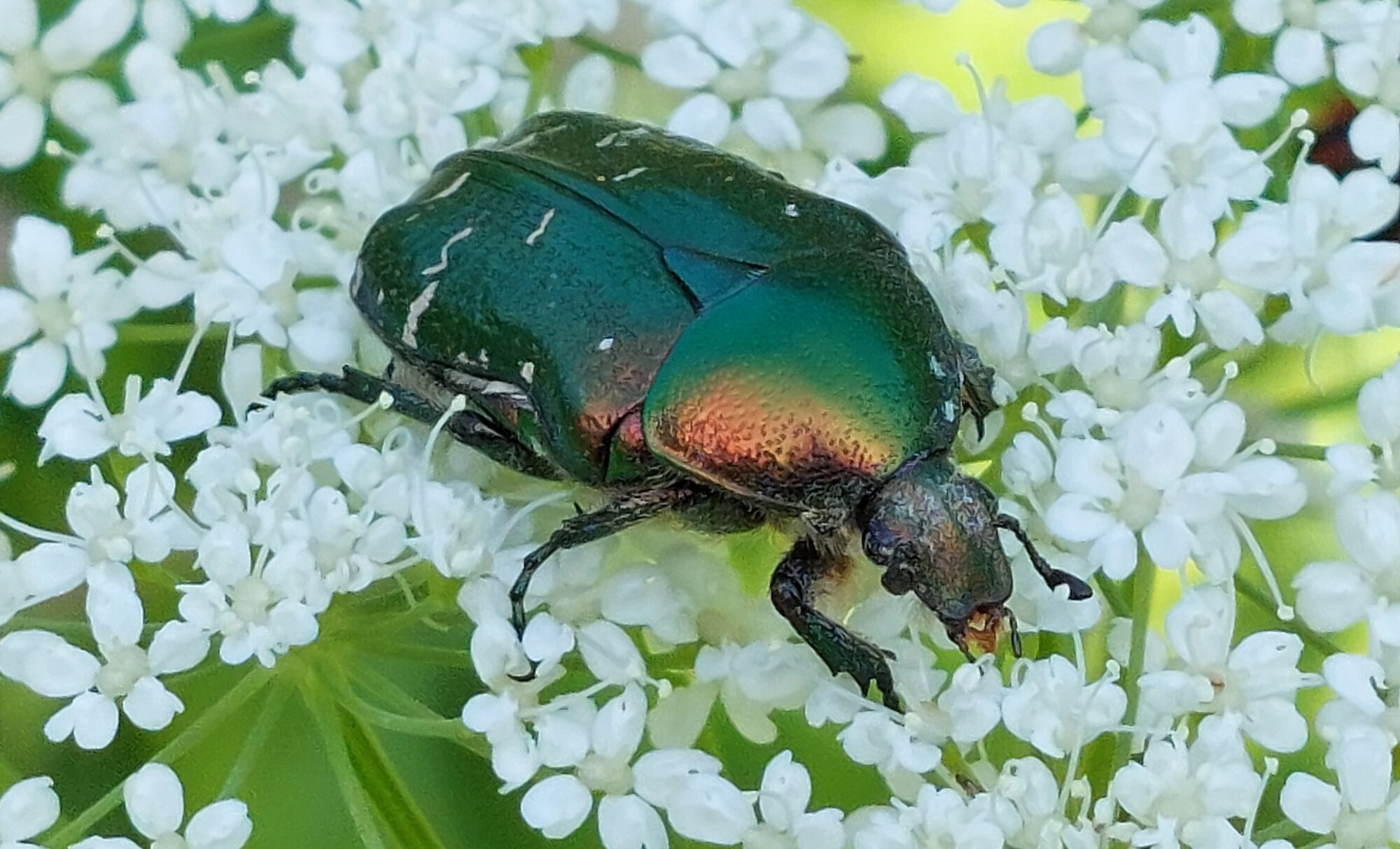 Valokuvaaja: Tarja Naukkarinen Valokuvaaja: Tarja Naukkarinen