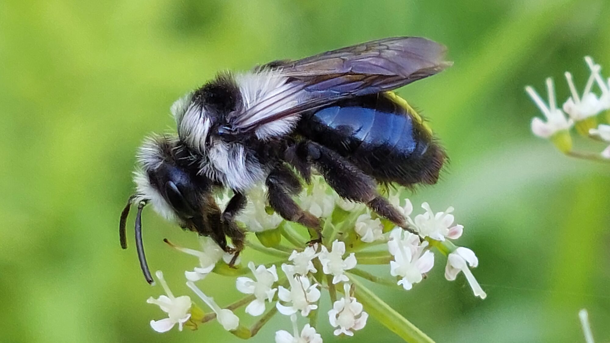 Valokuvaaja: Tarja Naukkarinen