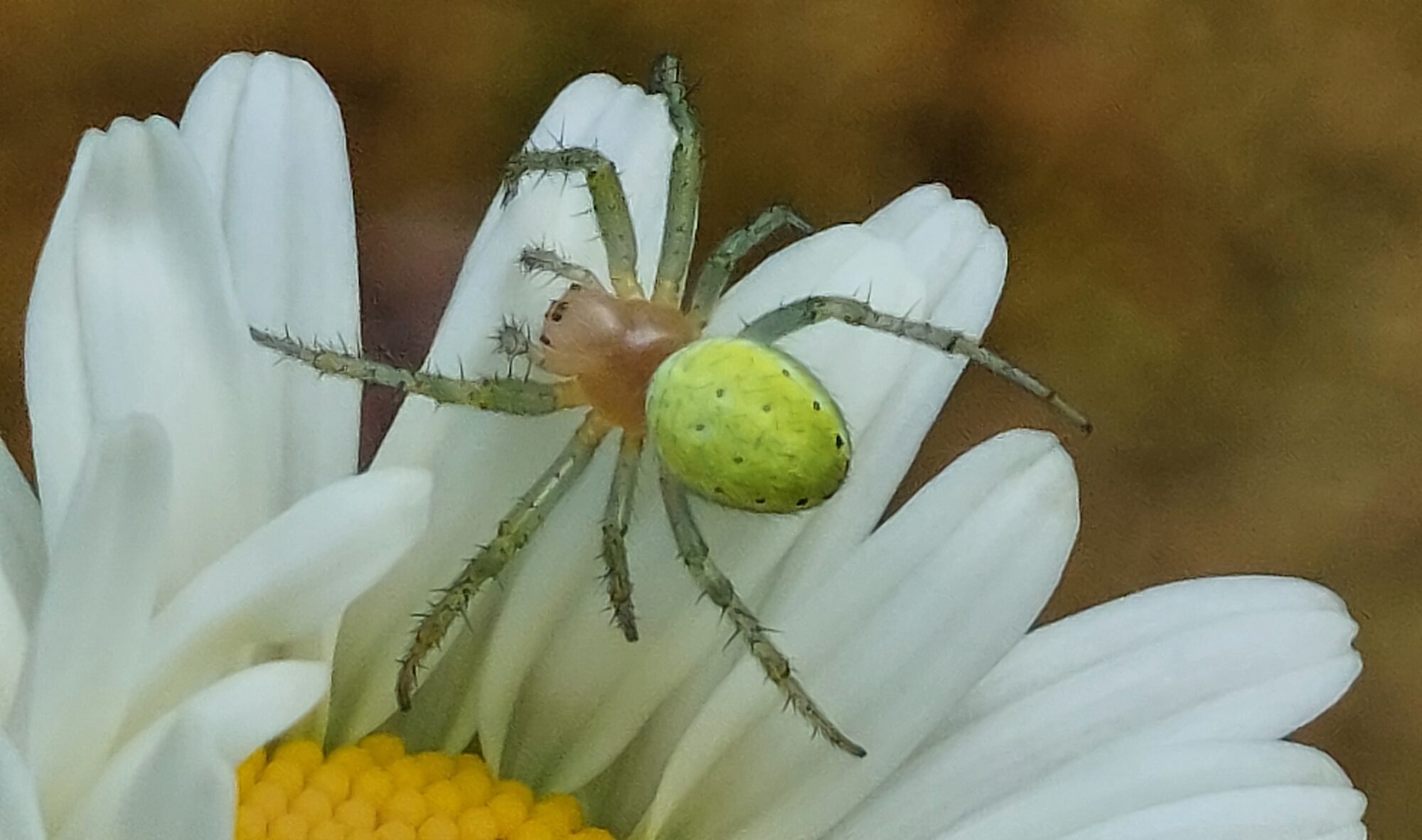 Valokuvaaja: Tarja Naukkarinen Valokuvaaja: Tarja Naukkarinen