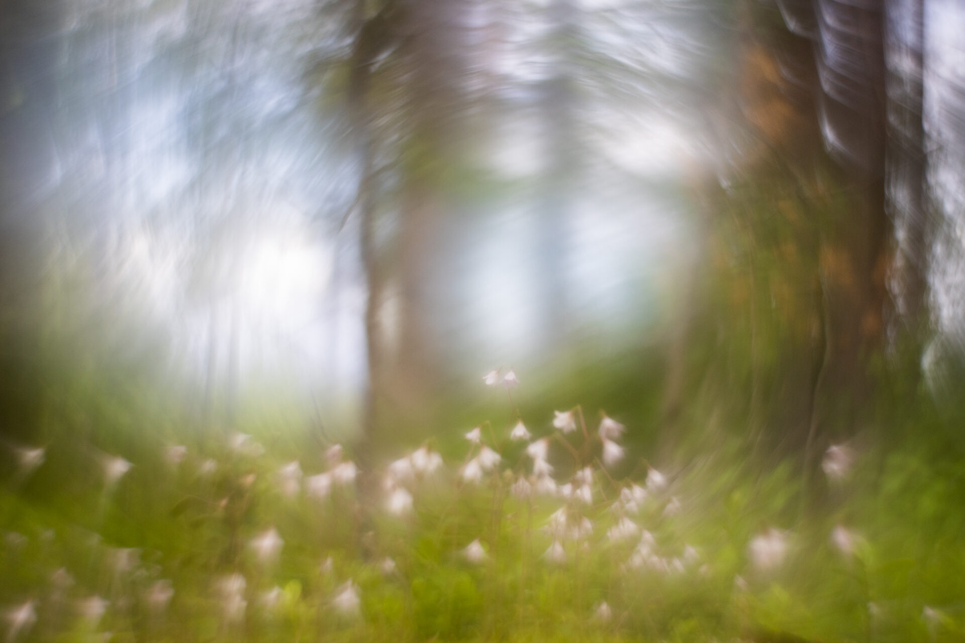 Valokuvaaja: Anne Patana Valokuvaaja: Anne Patana