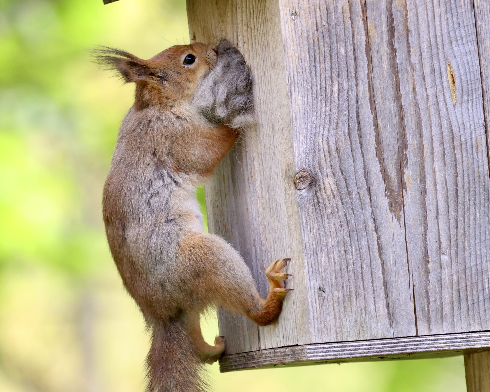 Valokuvaaja: Jukka Henriksson