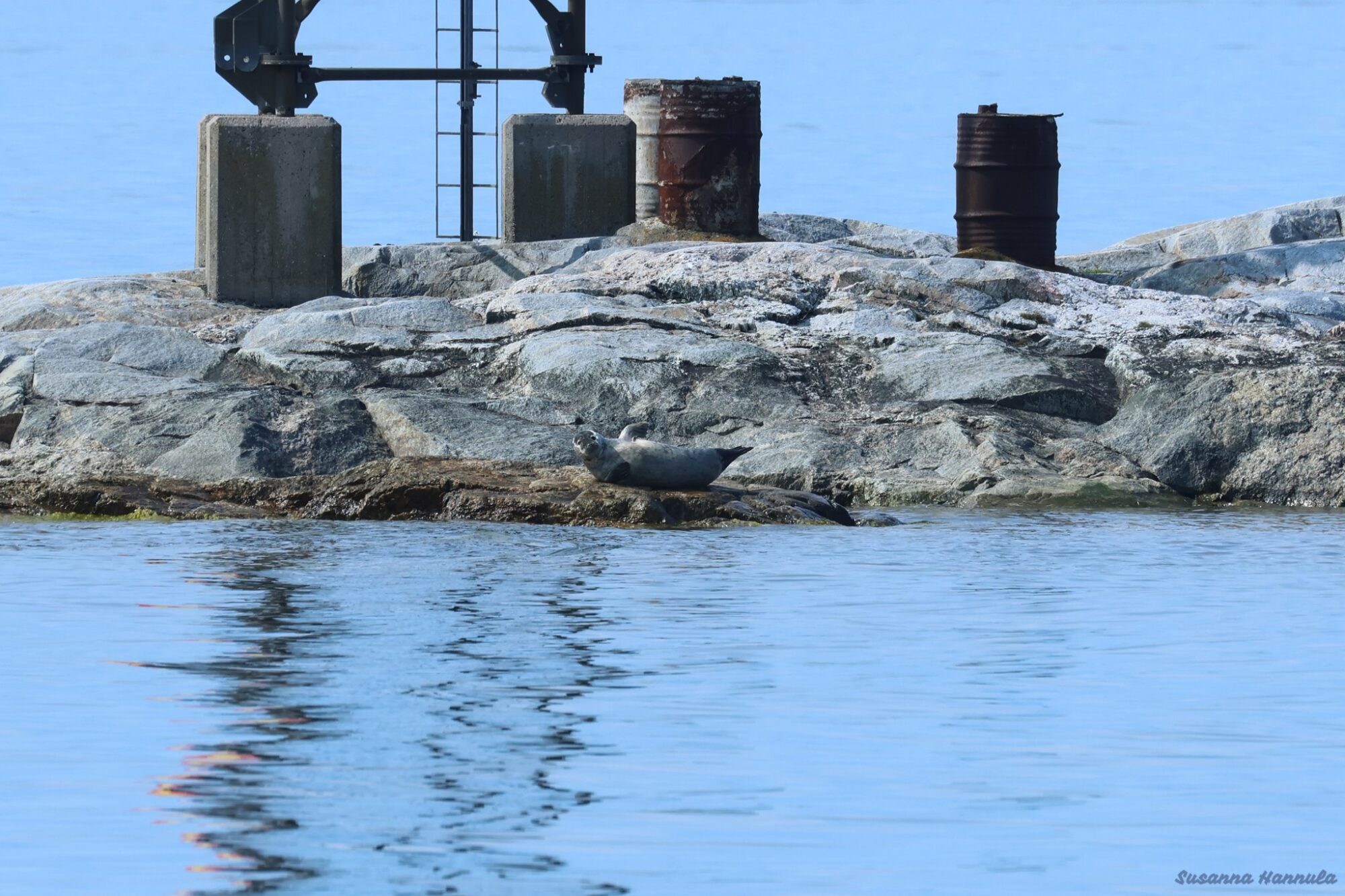 Valokuvaaja: Susanna Hannula Valokuvaaja: Susanna Hannula