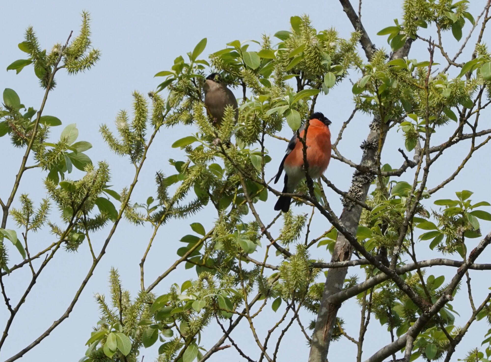 Valokuvaaja: Markku Ranta-Eilola