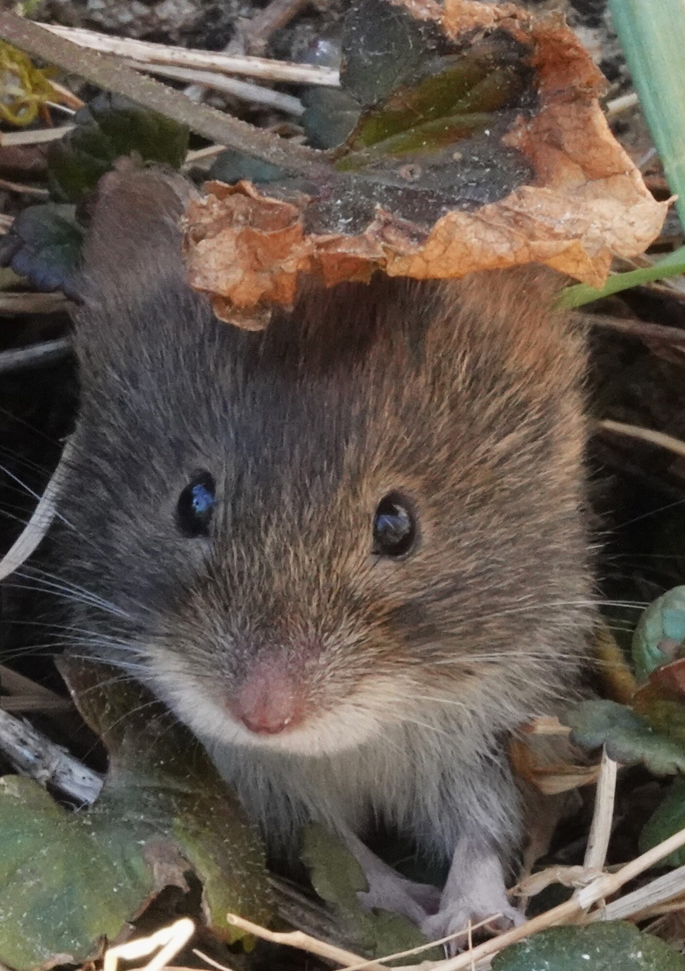 Valokuvaaja: Kaarina Heiskanen