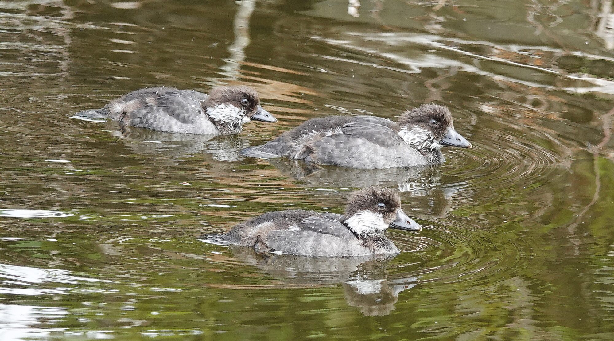 Valokuvaaja: Raija Oksanen