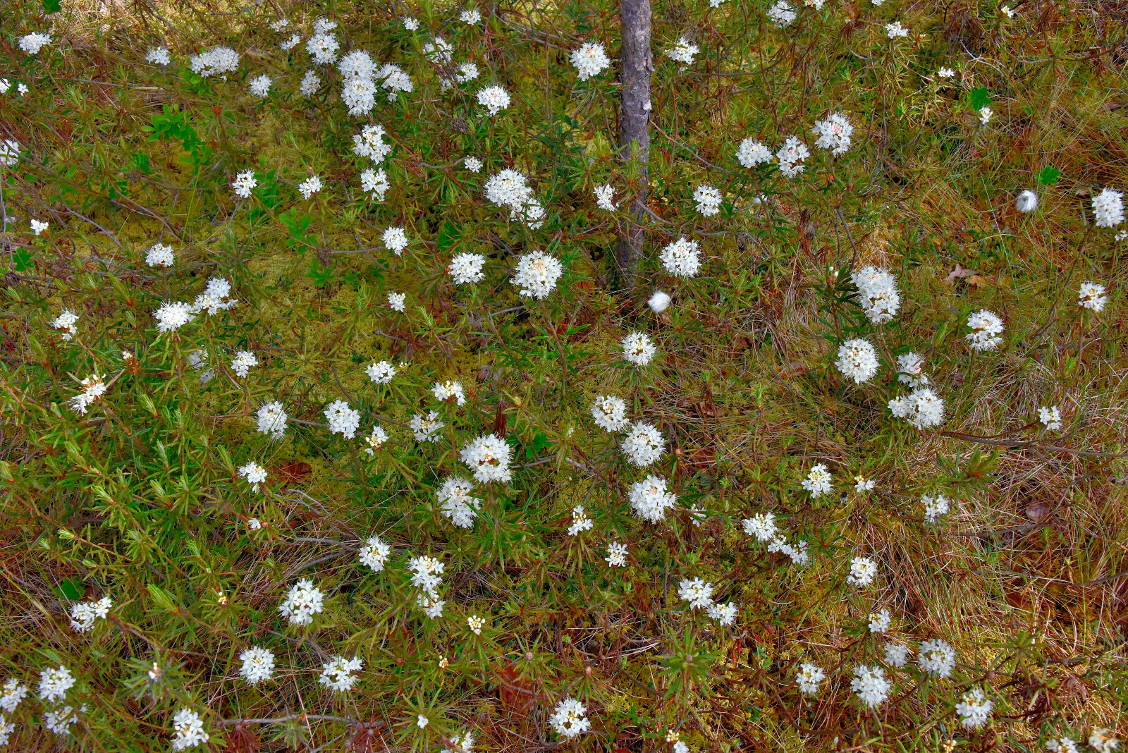 Valokuvaaja: Reijo Juurinen