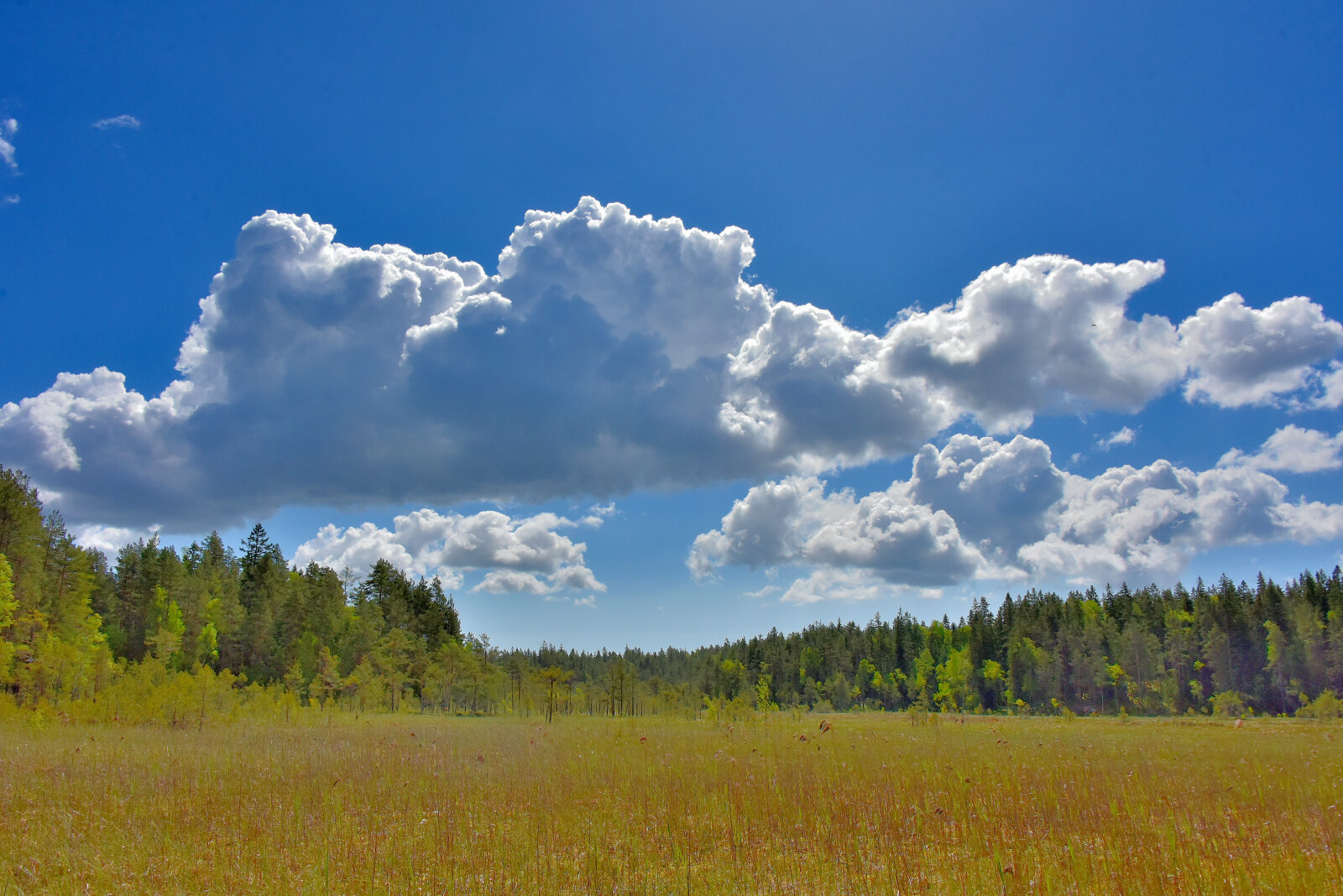 Valokuvaaja: Reijo Juurinen
