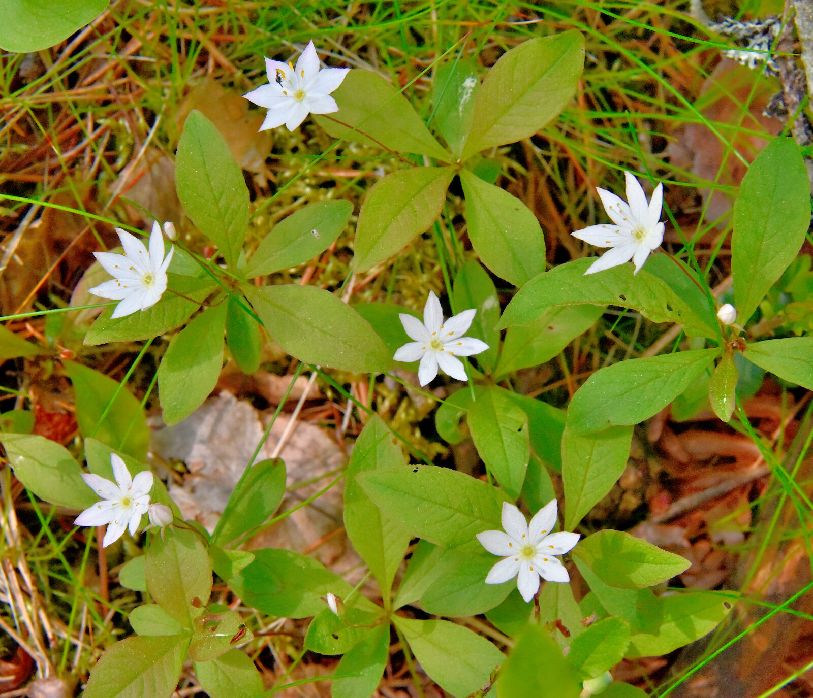 Valokuvaaja: Reijo Juurinen