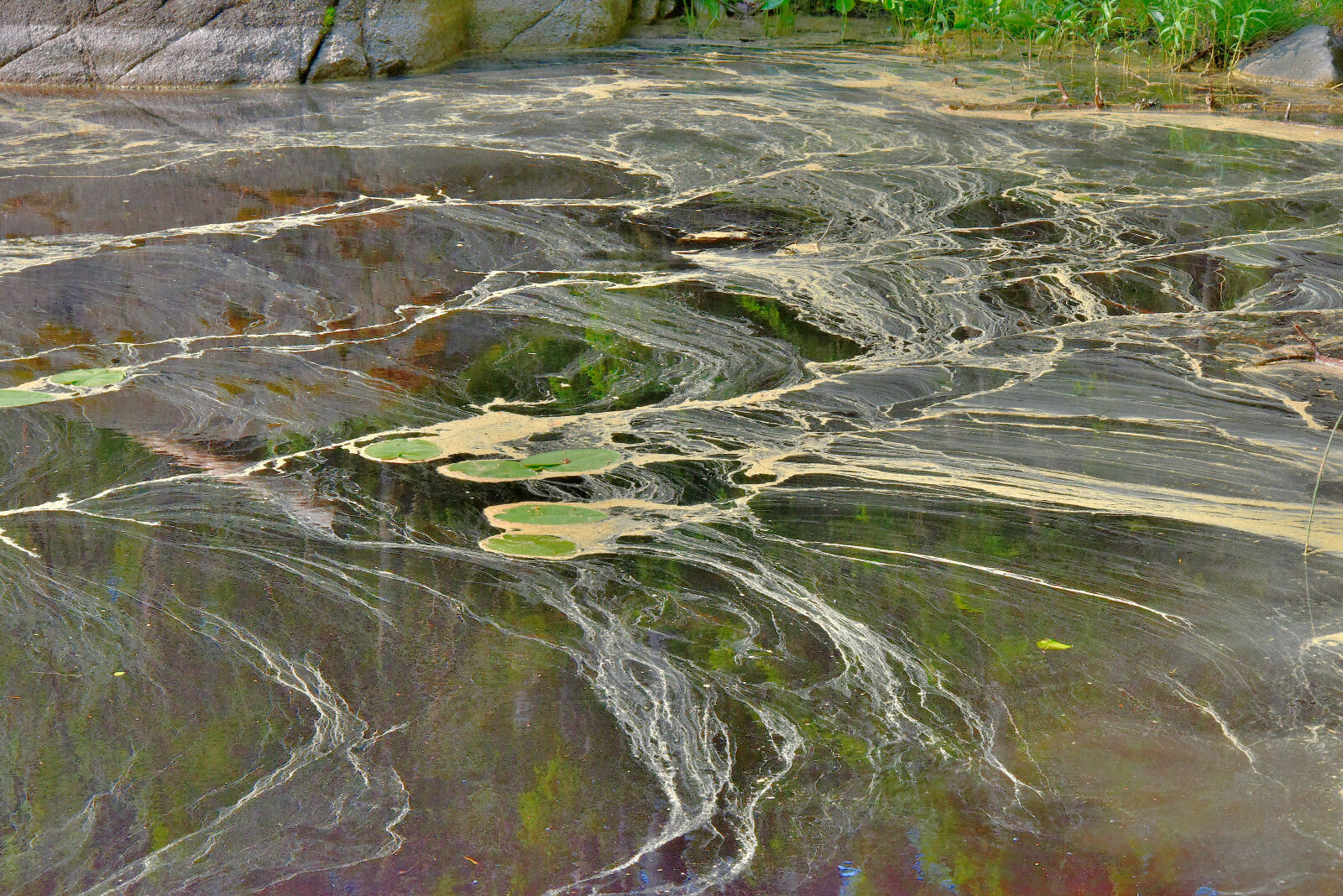 Valokuvaaja: Reijo Juurinen