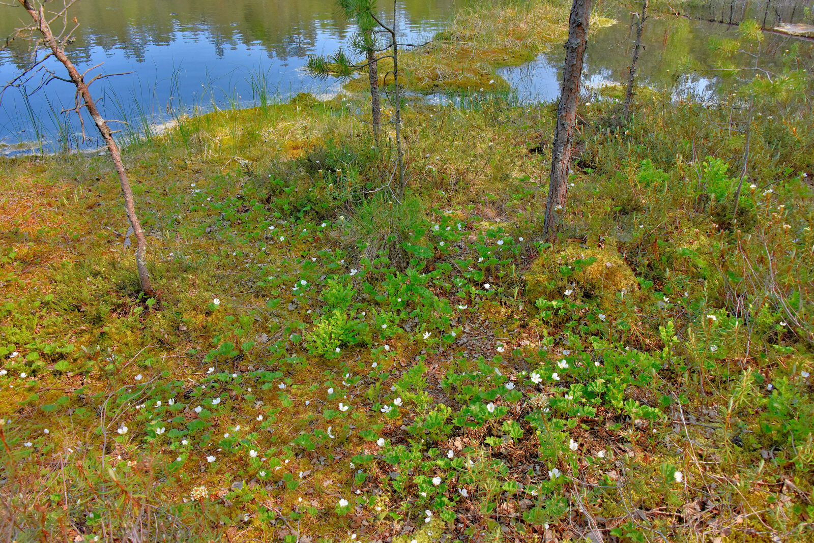 Valokuvaaja: Reijo Juurinen
