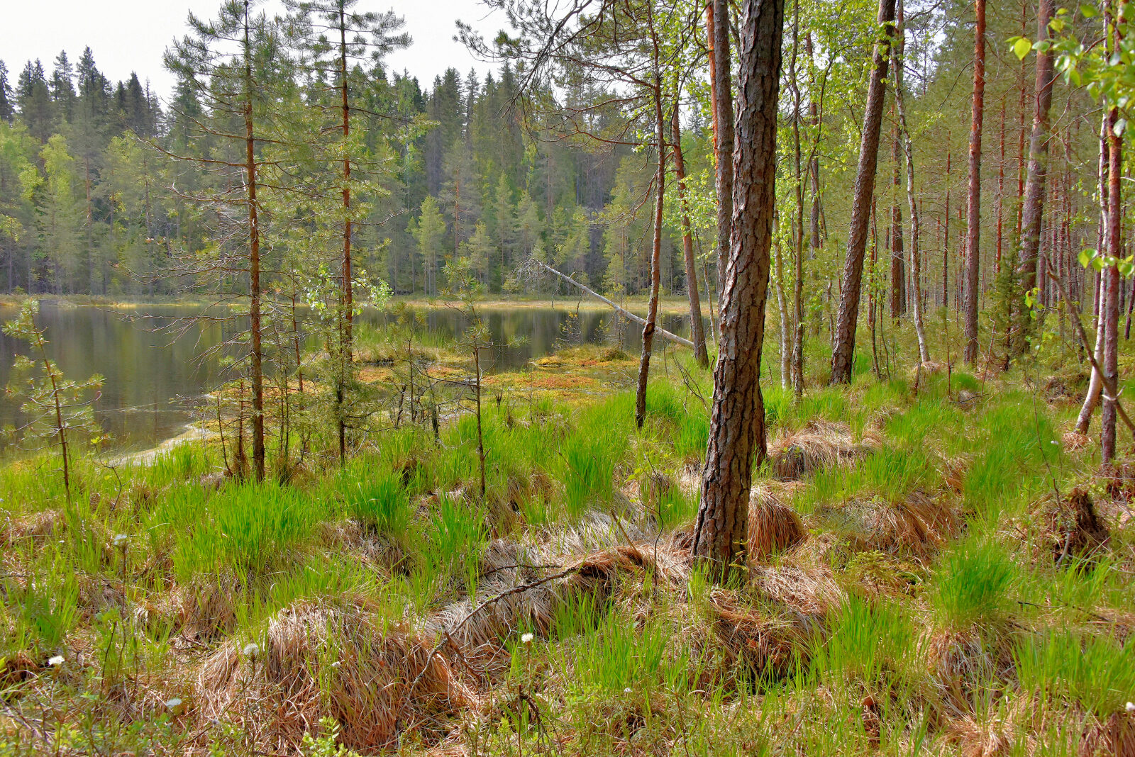 Valokuvaaja: Reijo Juurinen