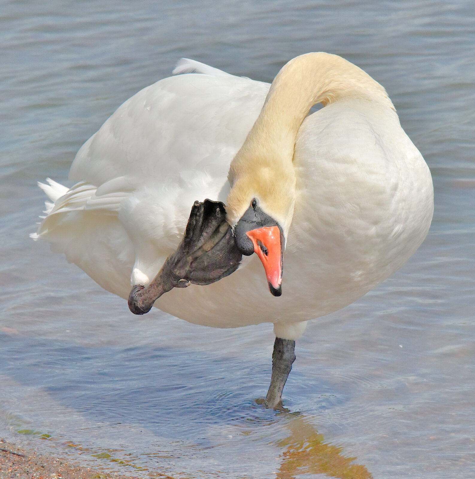 Valokuvaaja: Reijo Juurinen