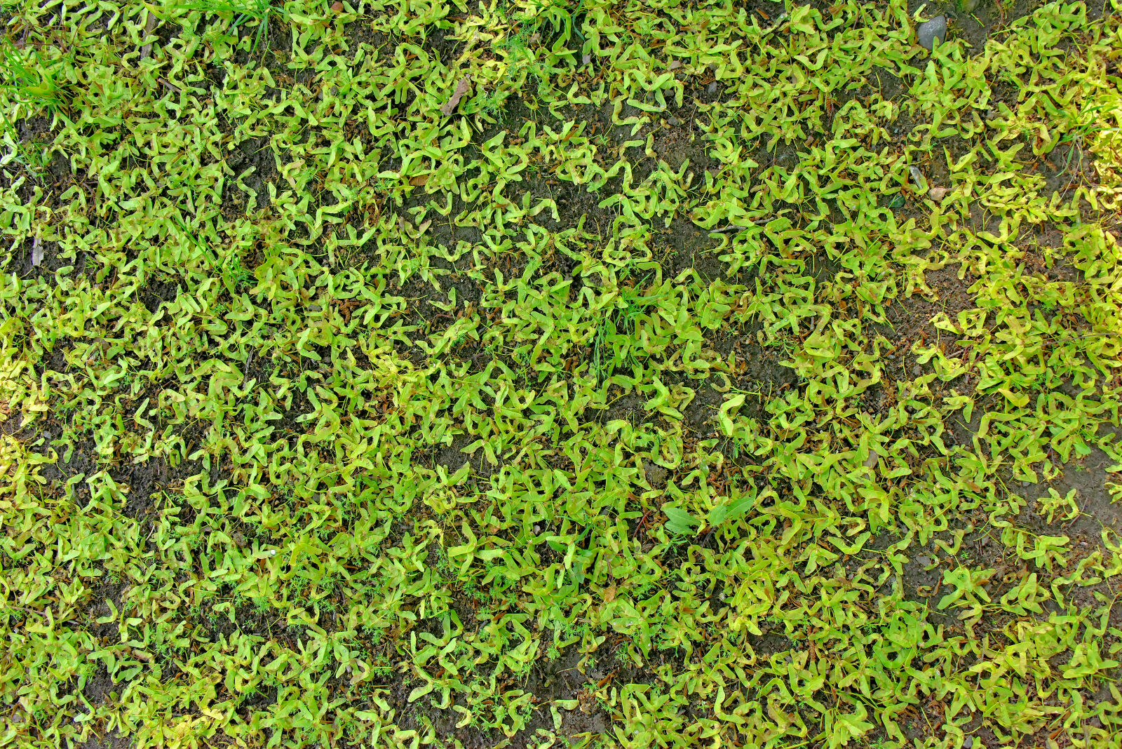 Valokuvaaja: Reijo Juurinen Valokuvaaja: Reijo Juurinen